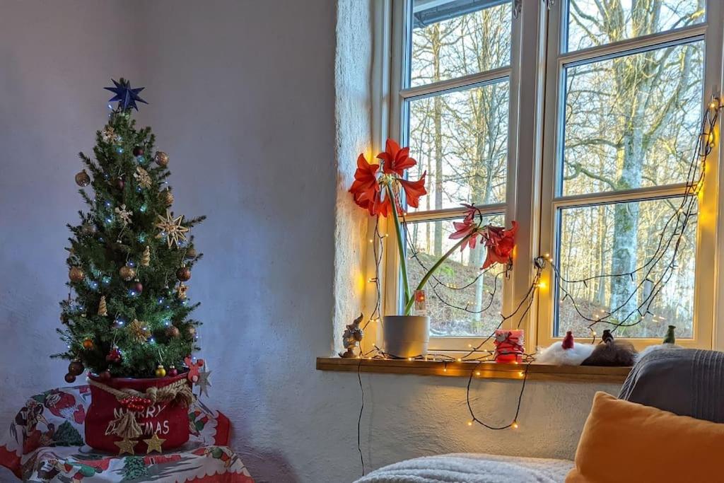 Beautiful and cosy house near the lake