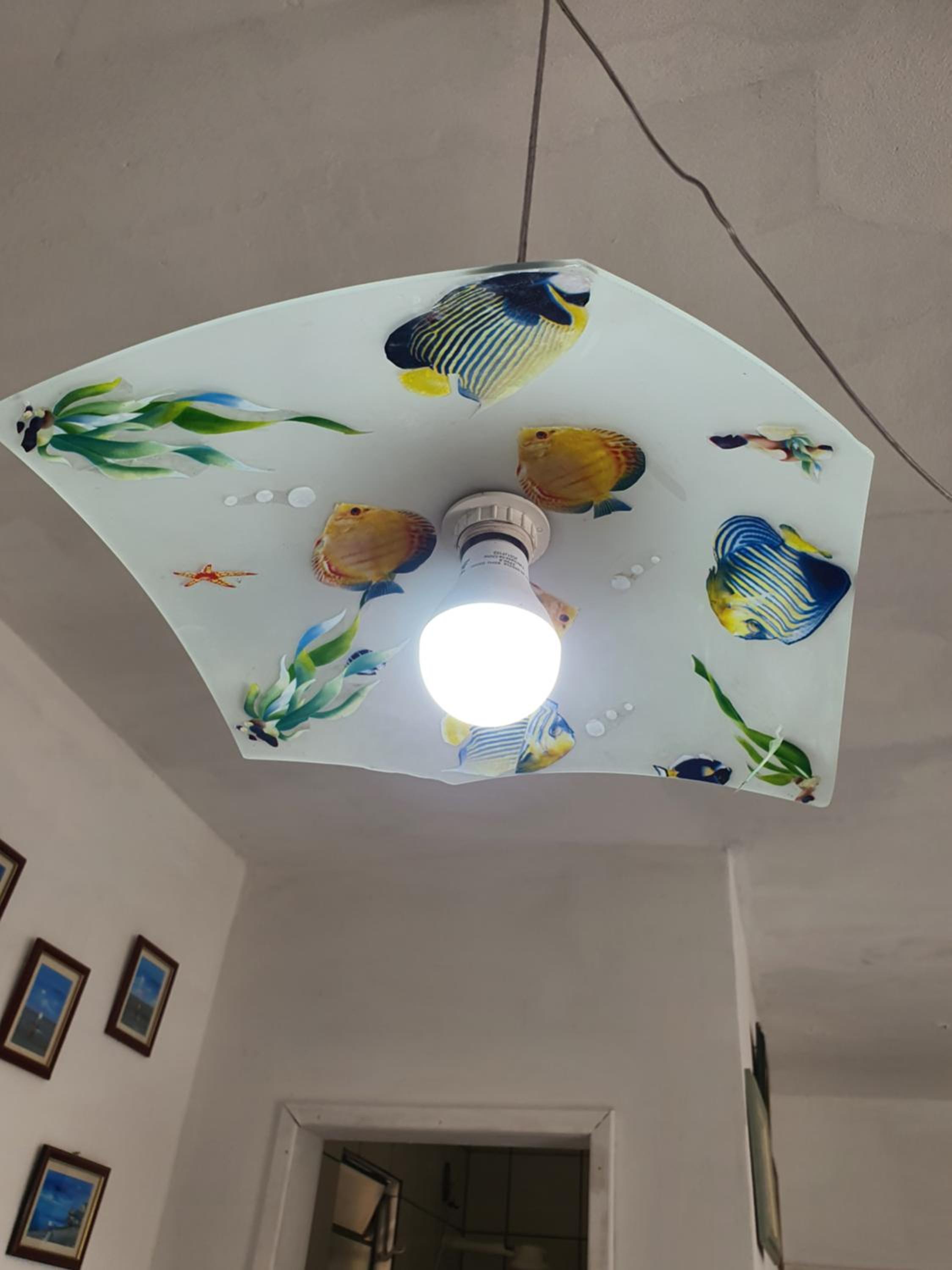 Casa Dos Praieiros