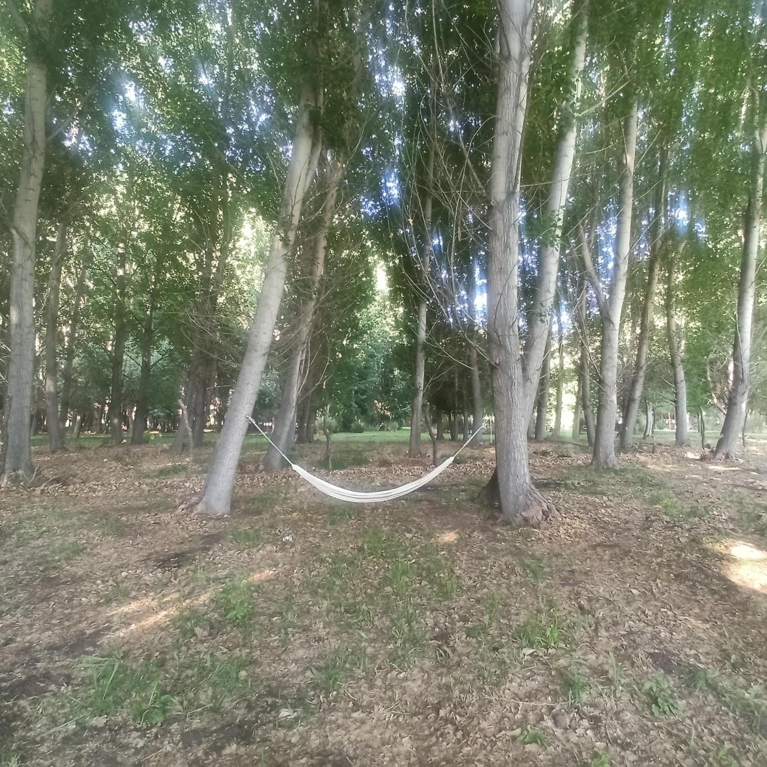 Cabaña Ecologica