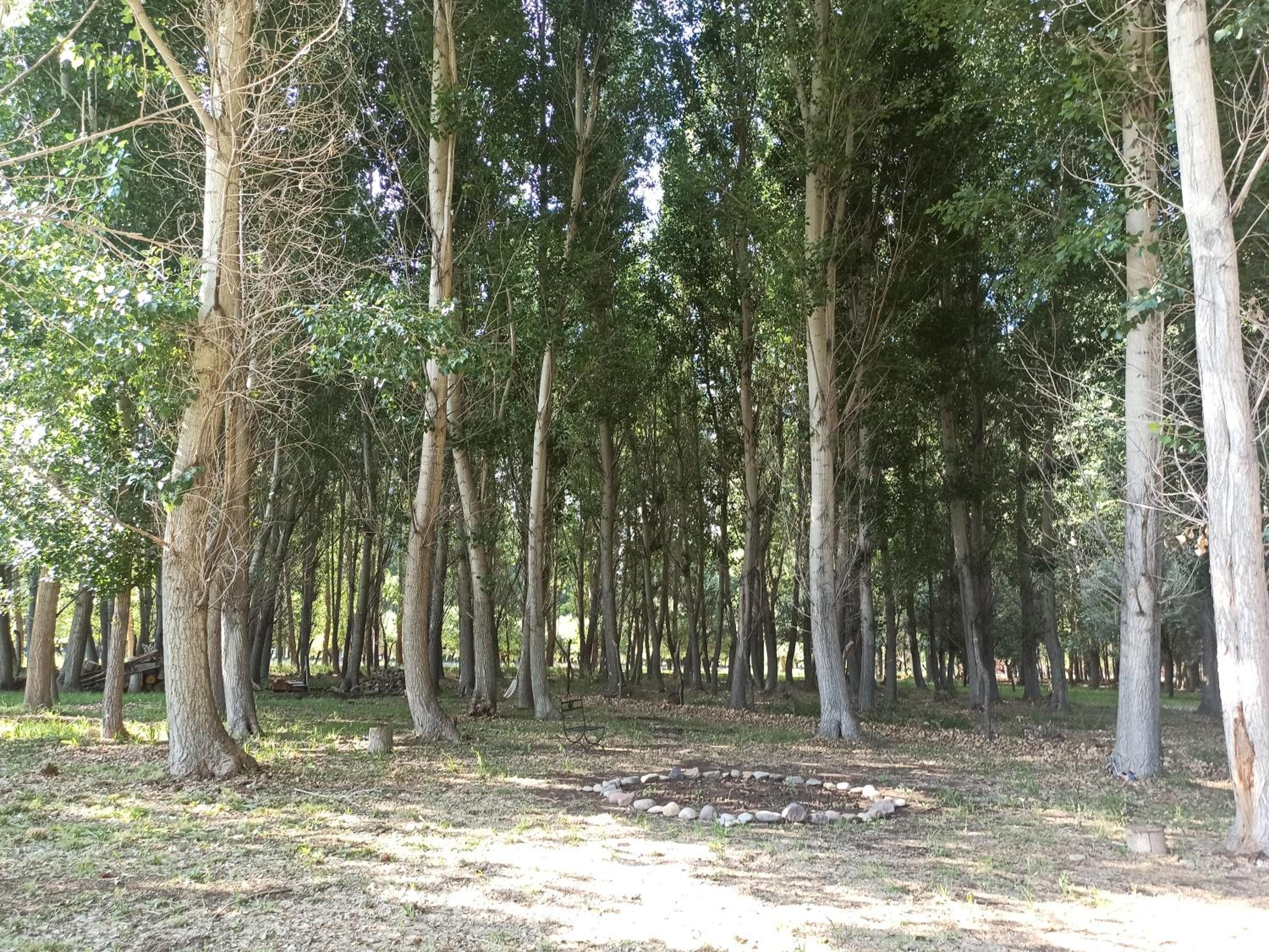 Cabaña Ecologica