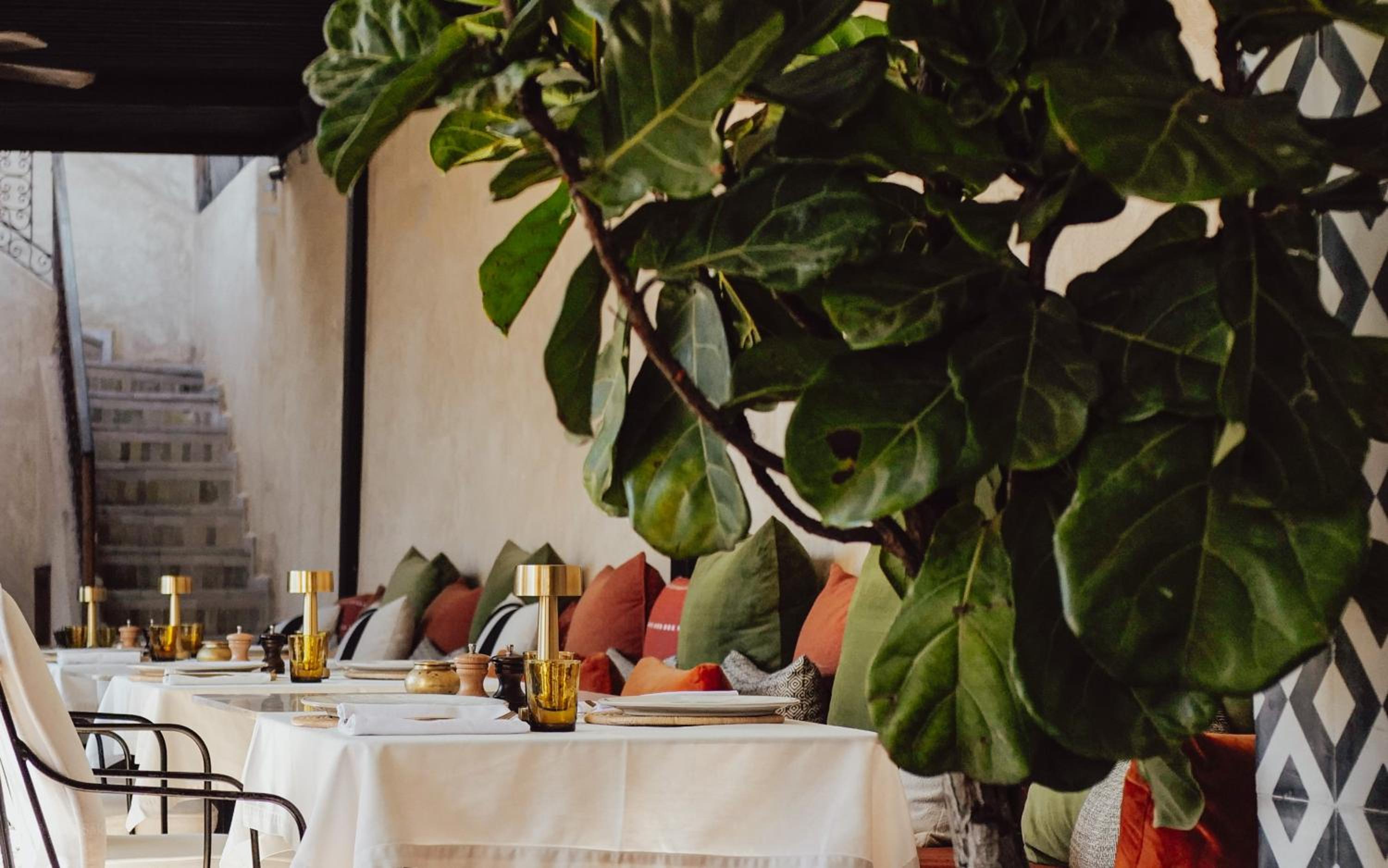 dining