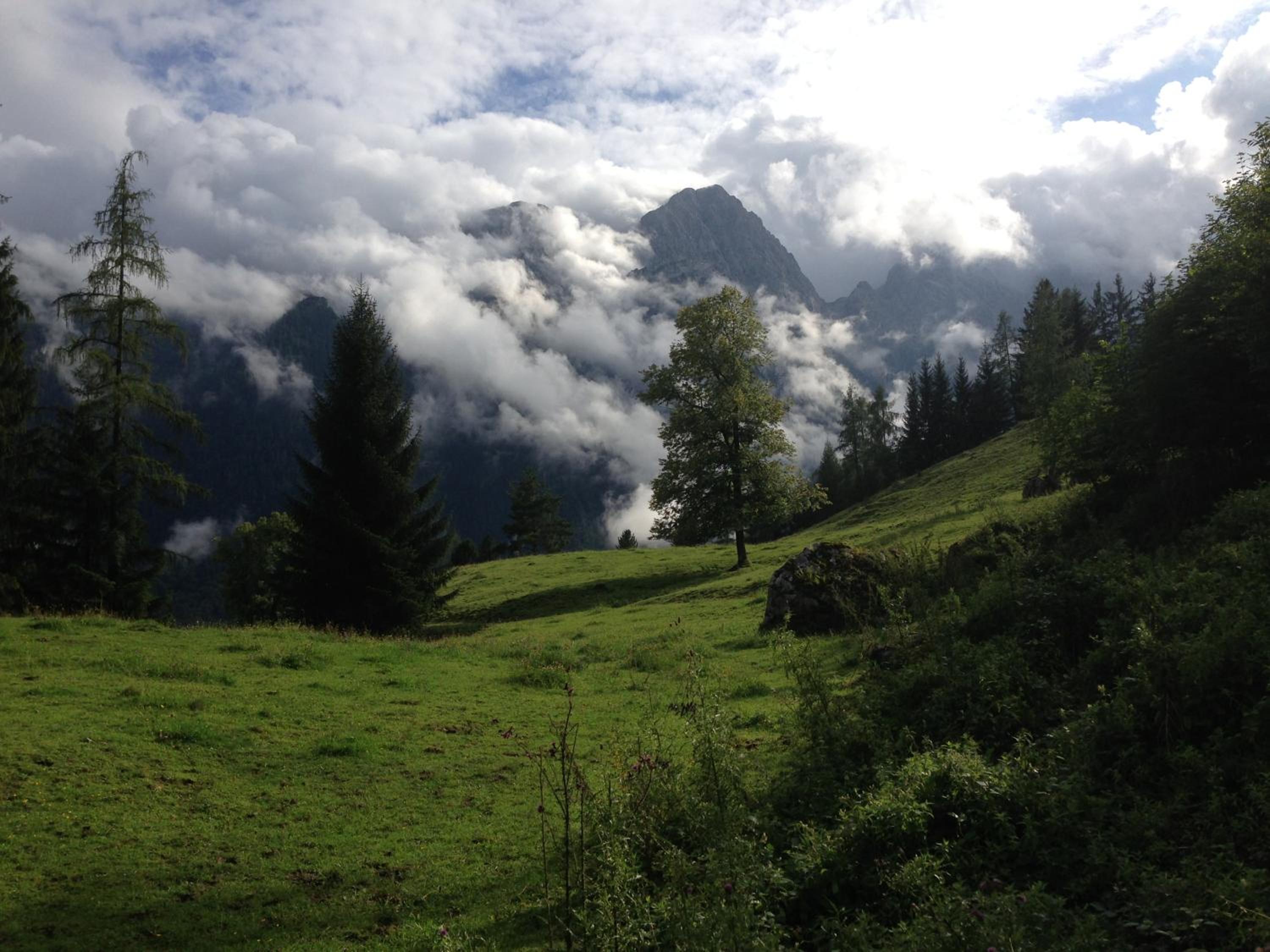 Photo 8