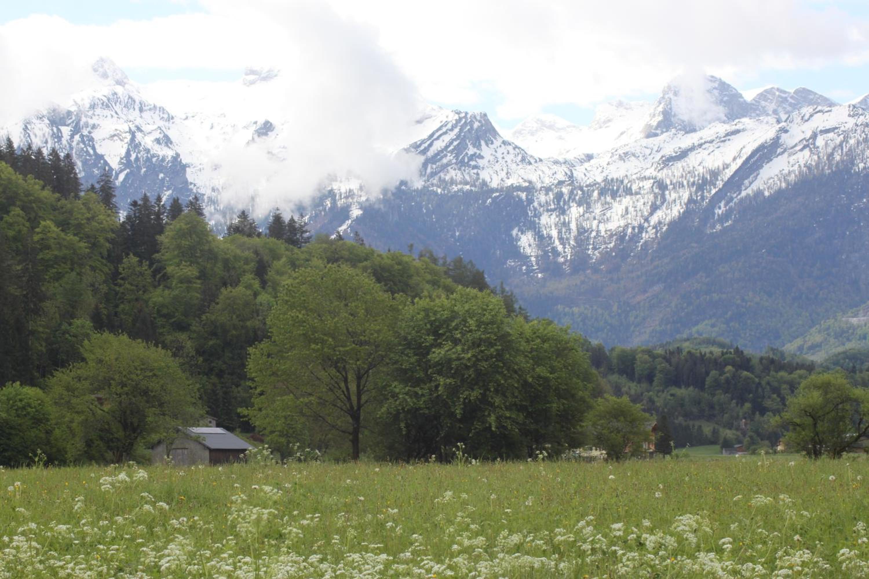 Ferienwohnung Hager Kuchl view 5