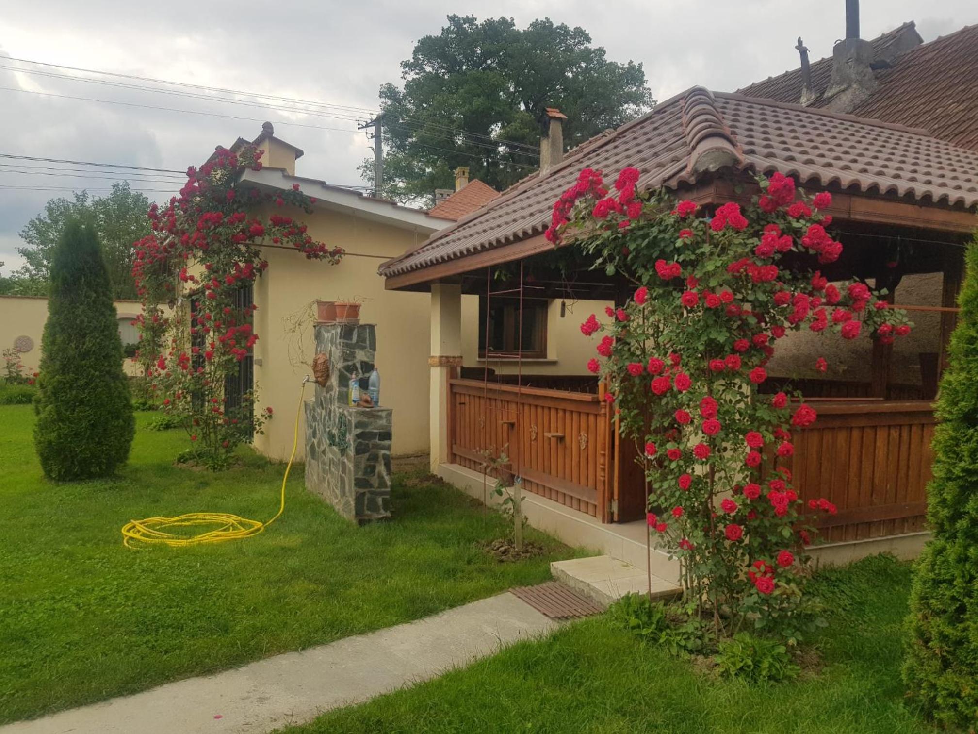 Photo 25