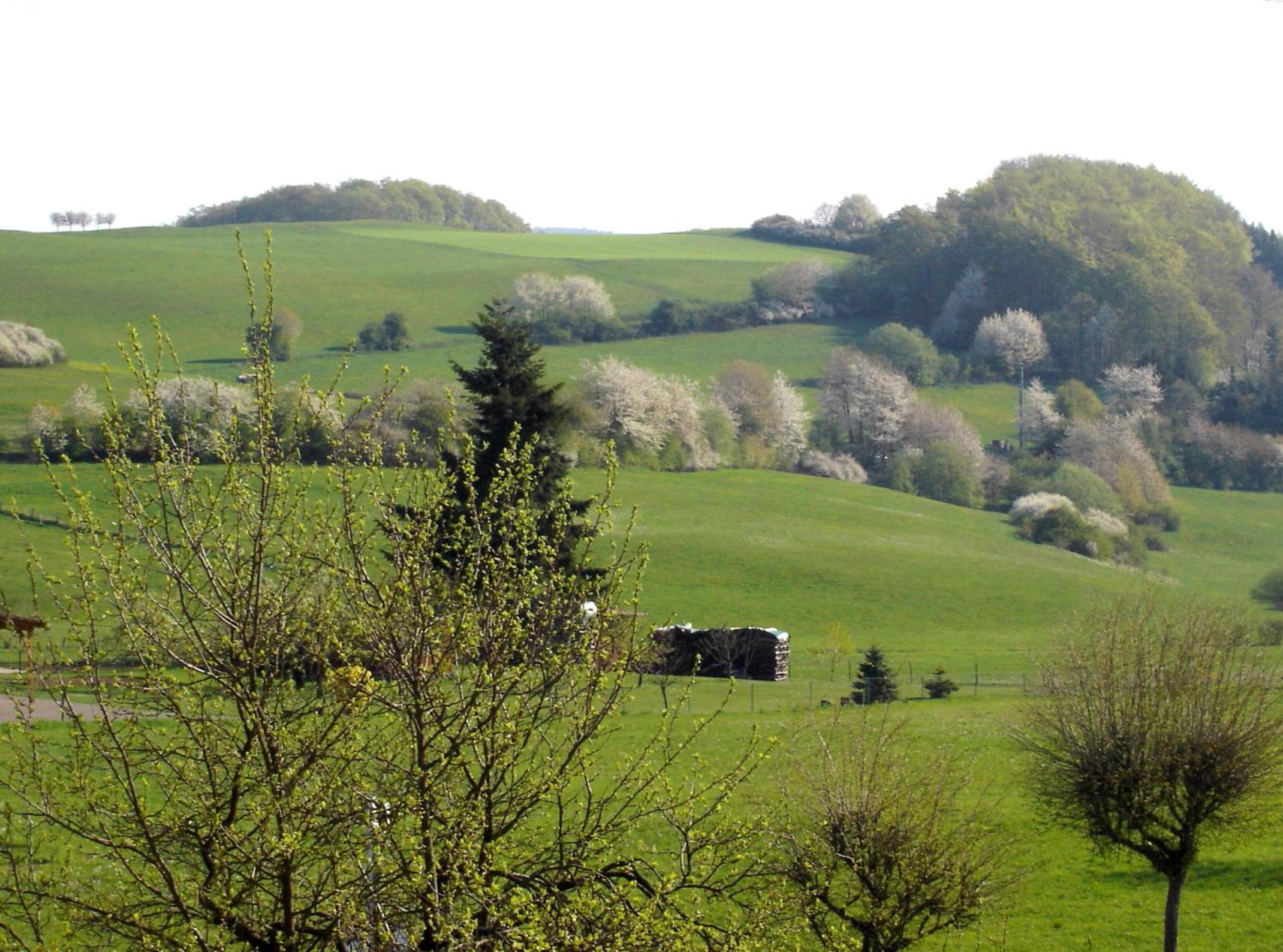 Gasthof Zum Hohen Lohr