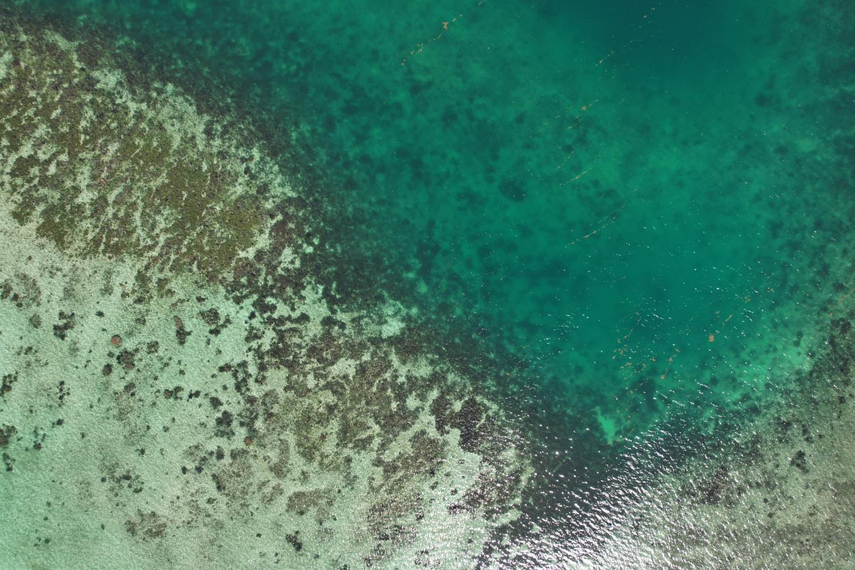 EAST KEYS - Lucy's Bay