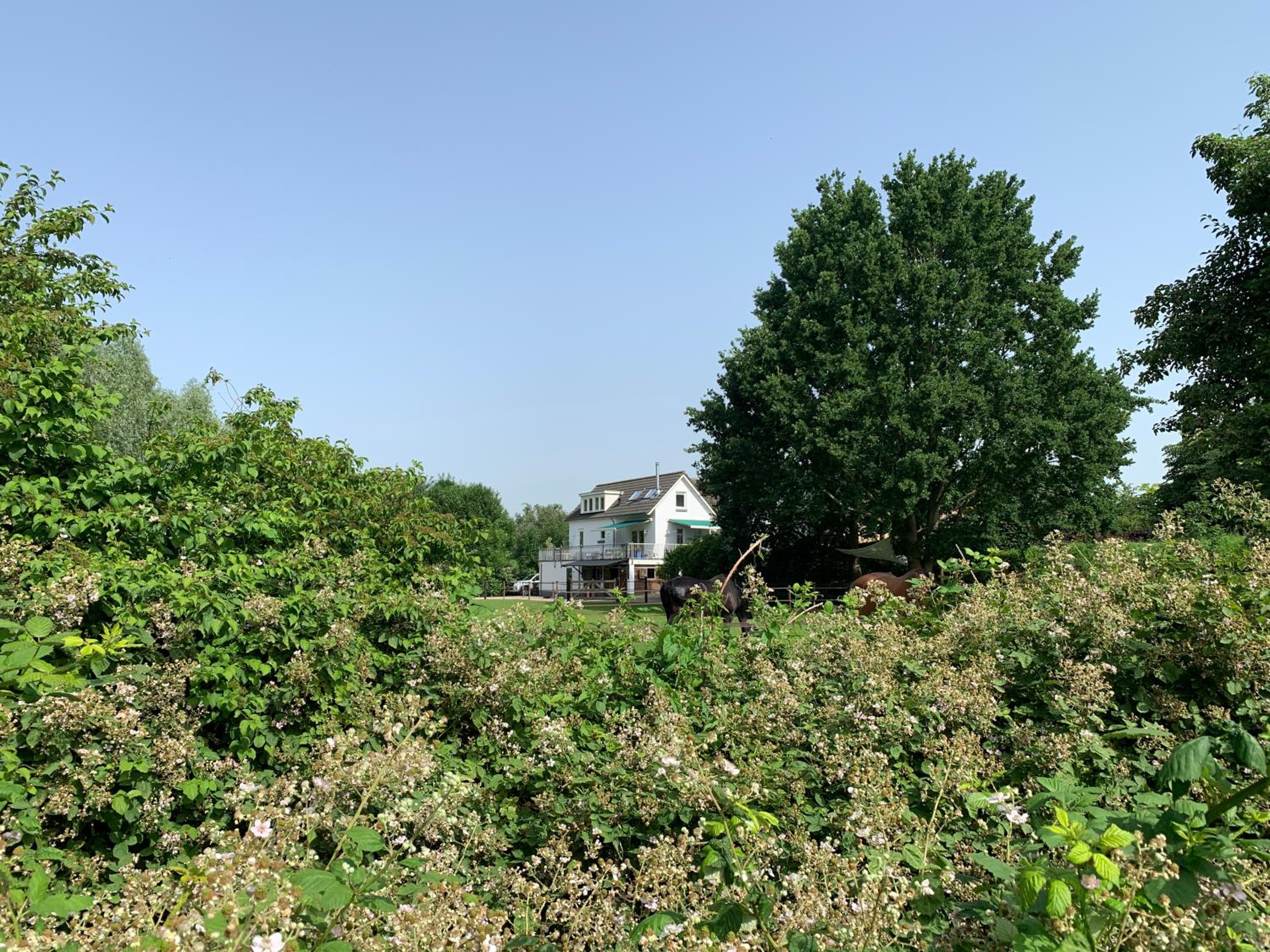 Photo 24