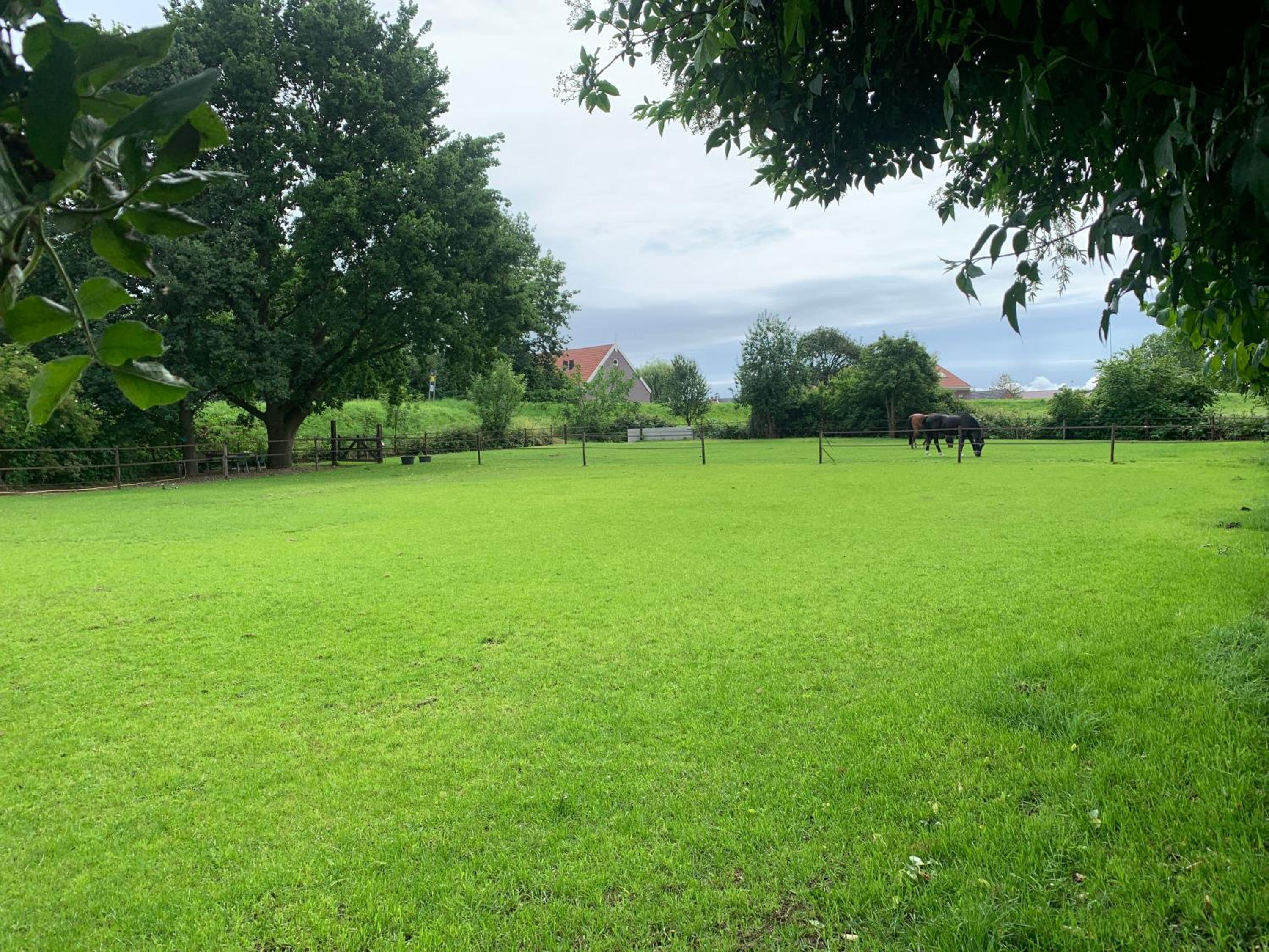 Photo 28