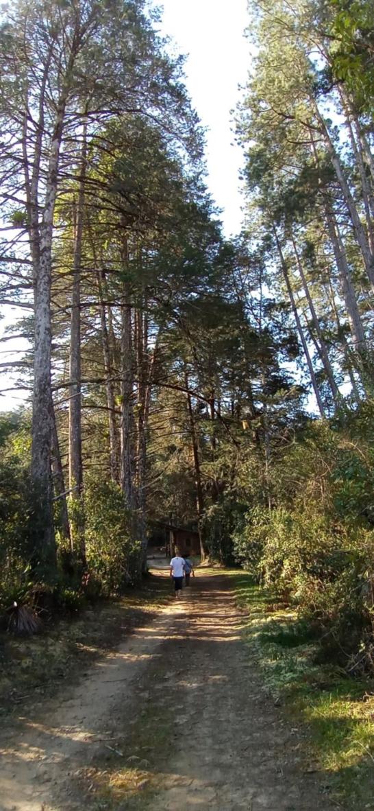 Campos da Bocaina