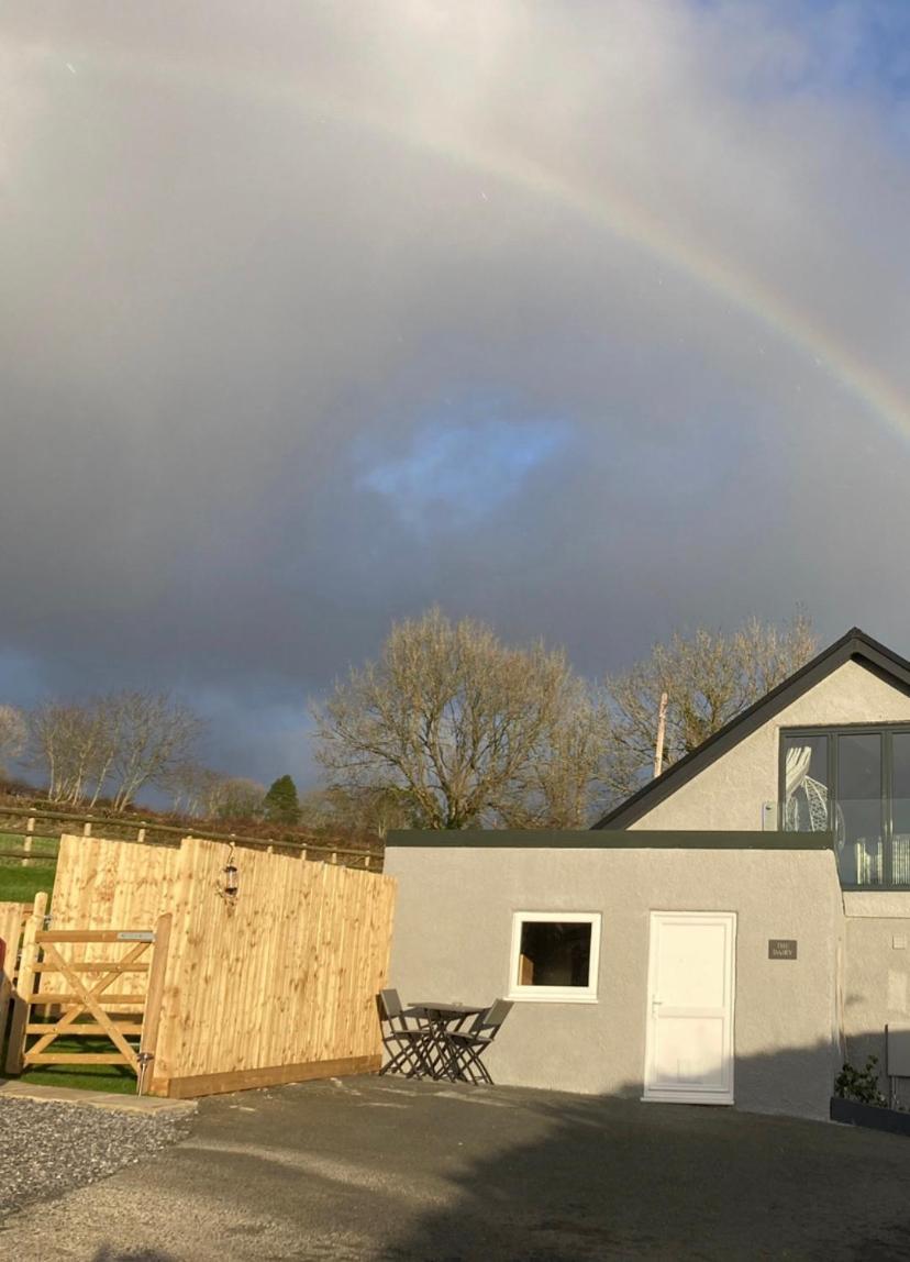 Adorable bedsit for you, partner and your pet!