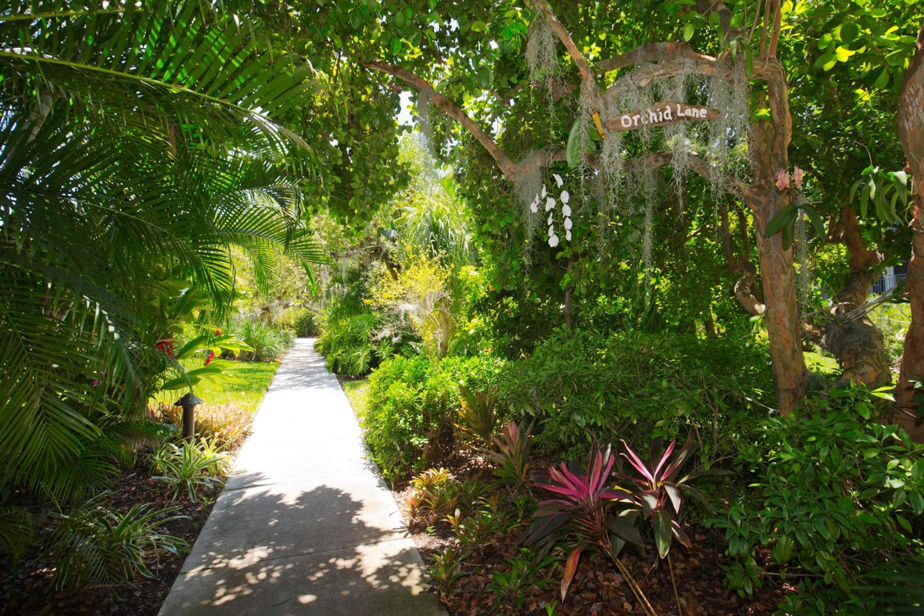 Hemingways Atlantic Retreat view 5
