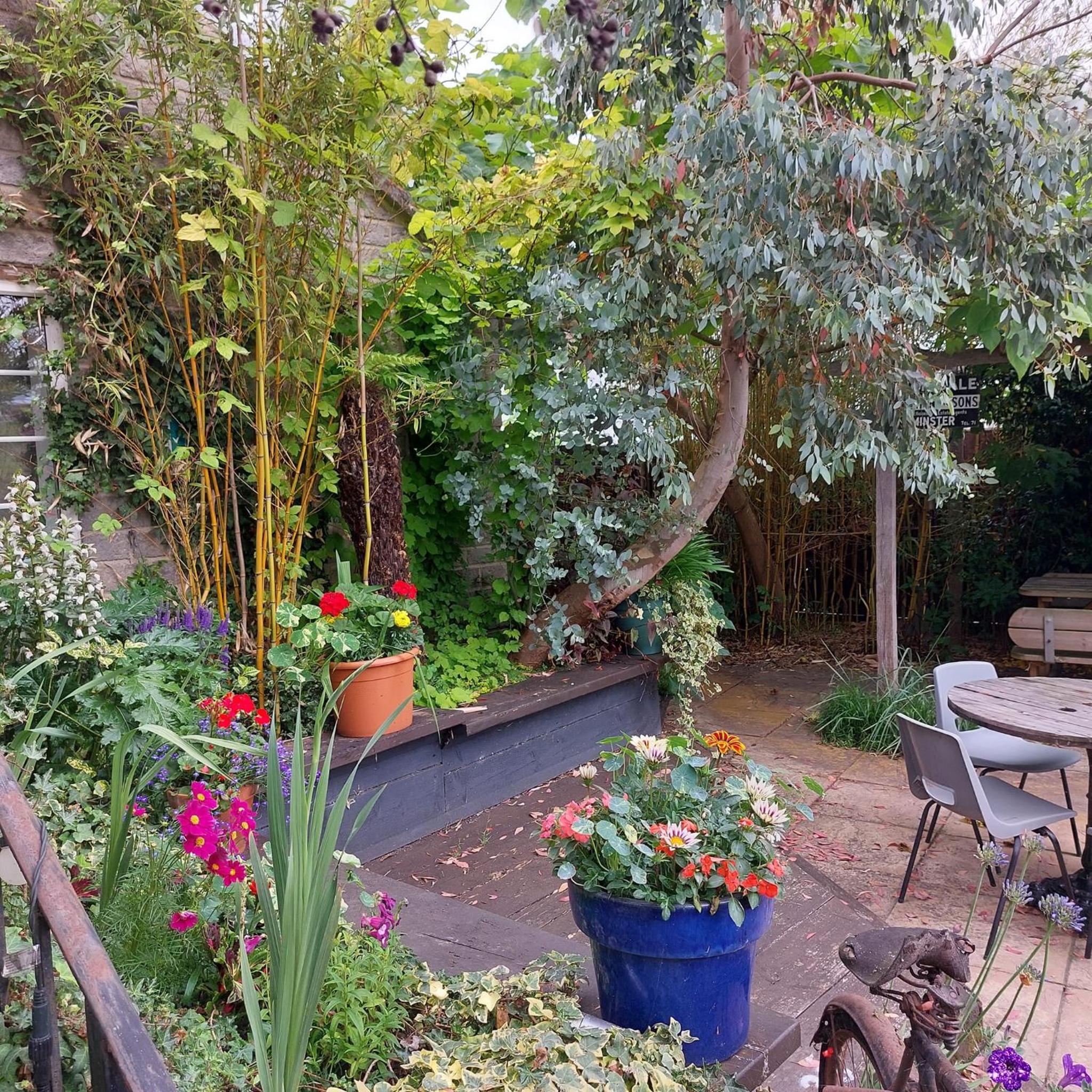 Ilminster Vacations - The Five Dials Inn - Property Image 27