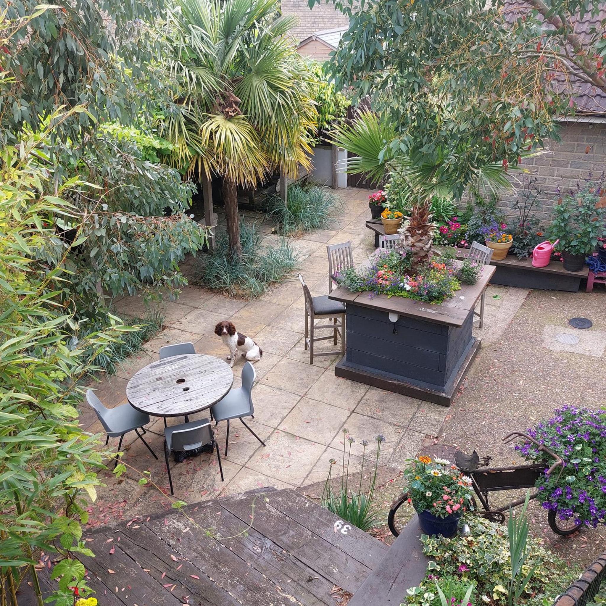 Ilminster Vacations - The Five Dials Inn - Property Image 25