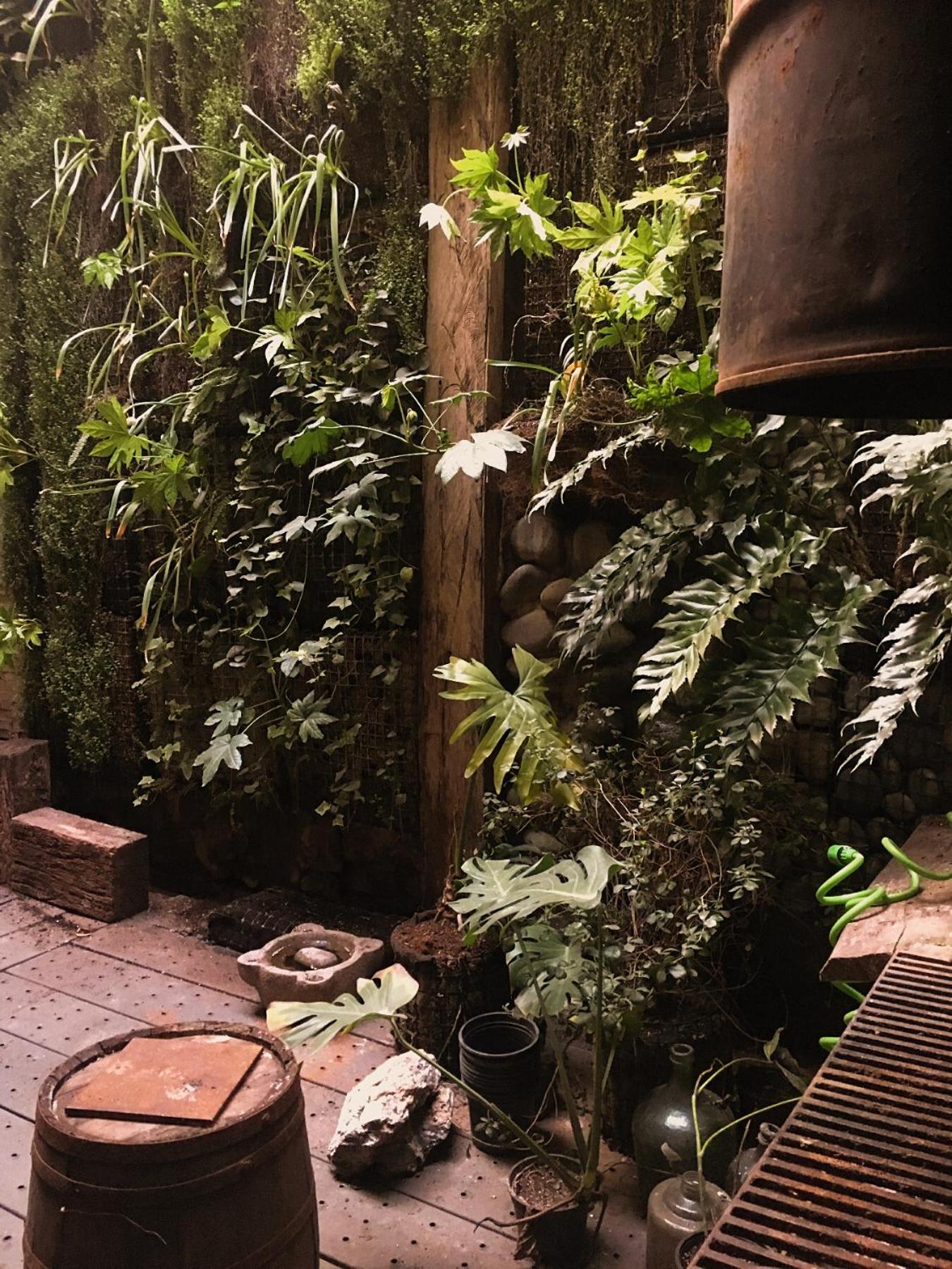 CASA LUCRECIA