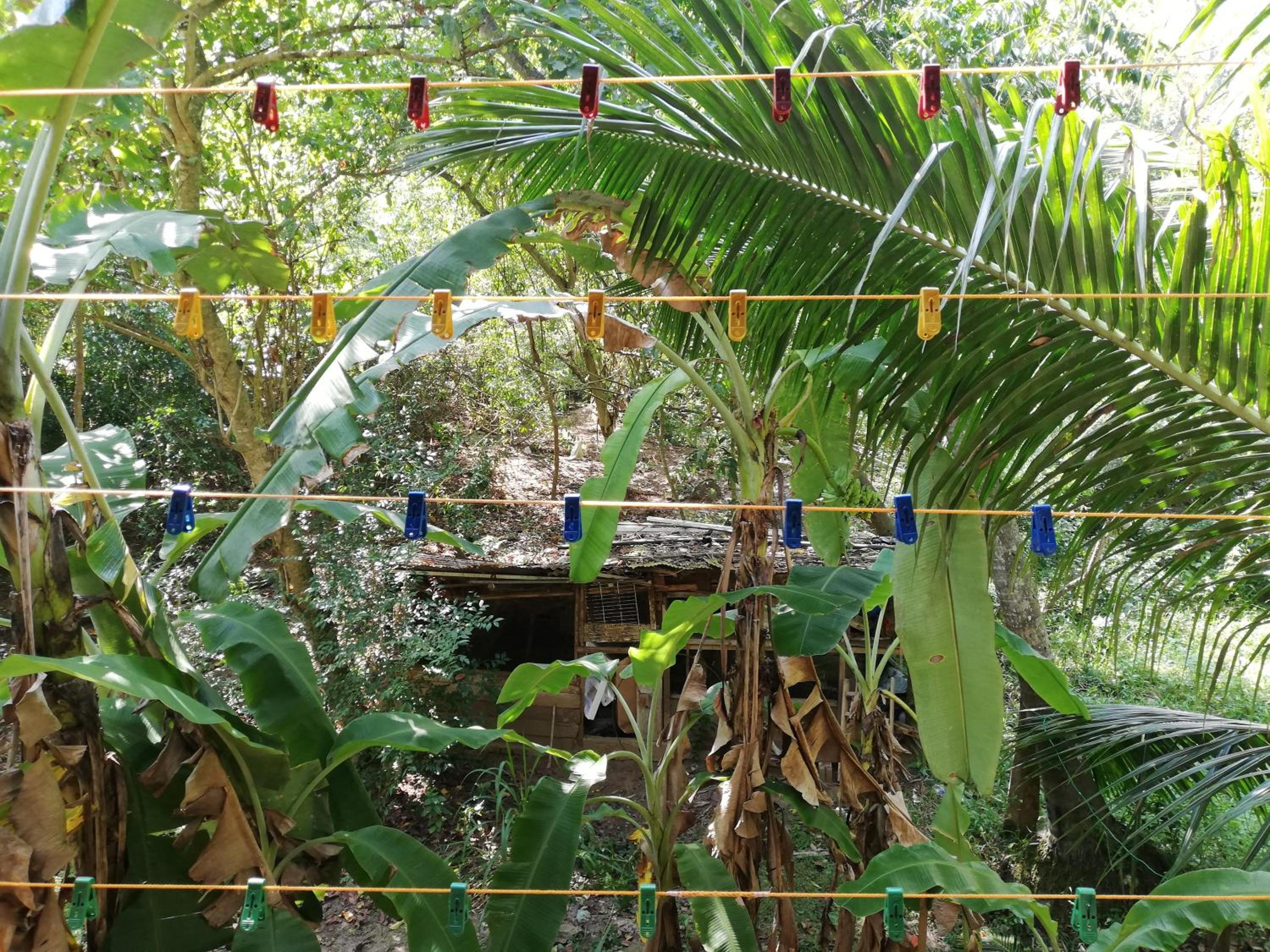 Photo 62