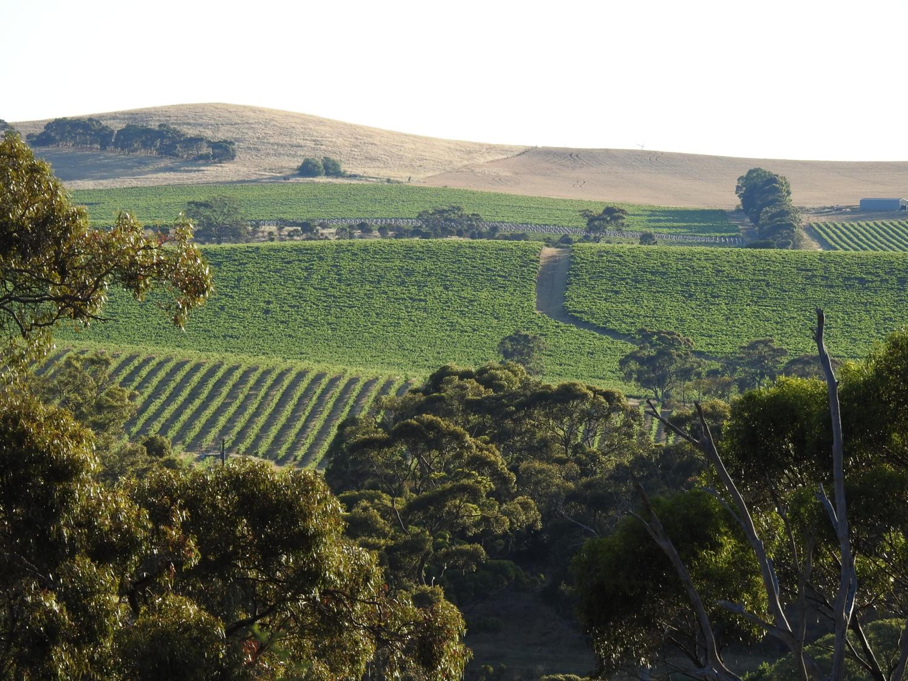 Battunga Cottages