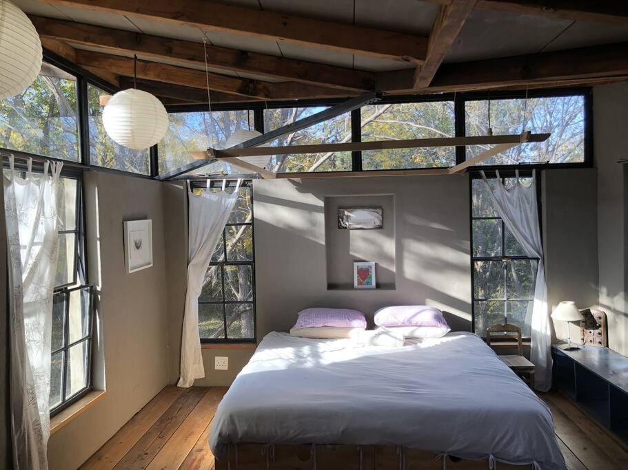 Porcupine House