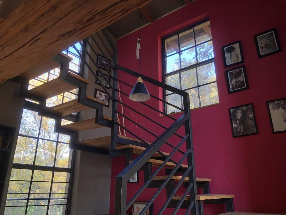 Porcupine House