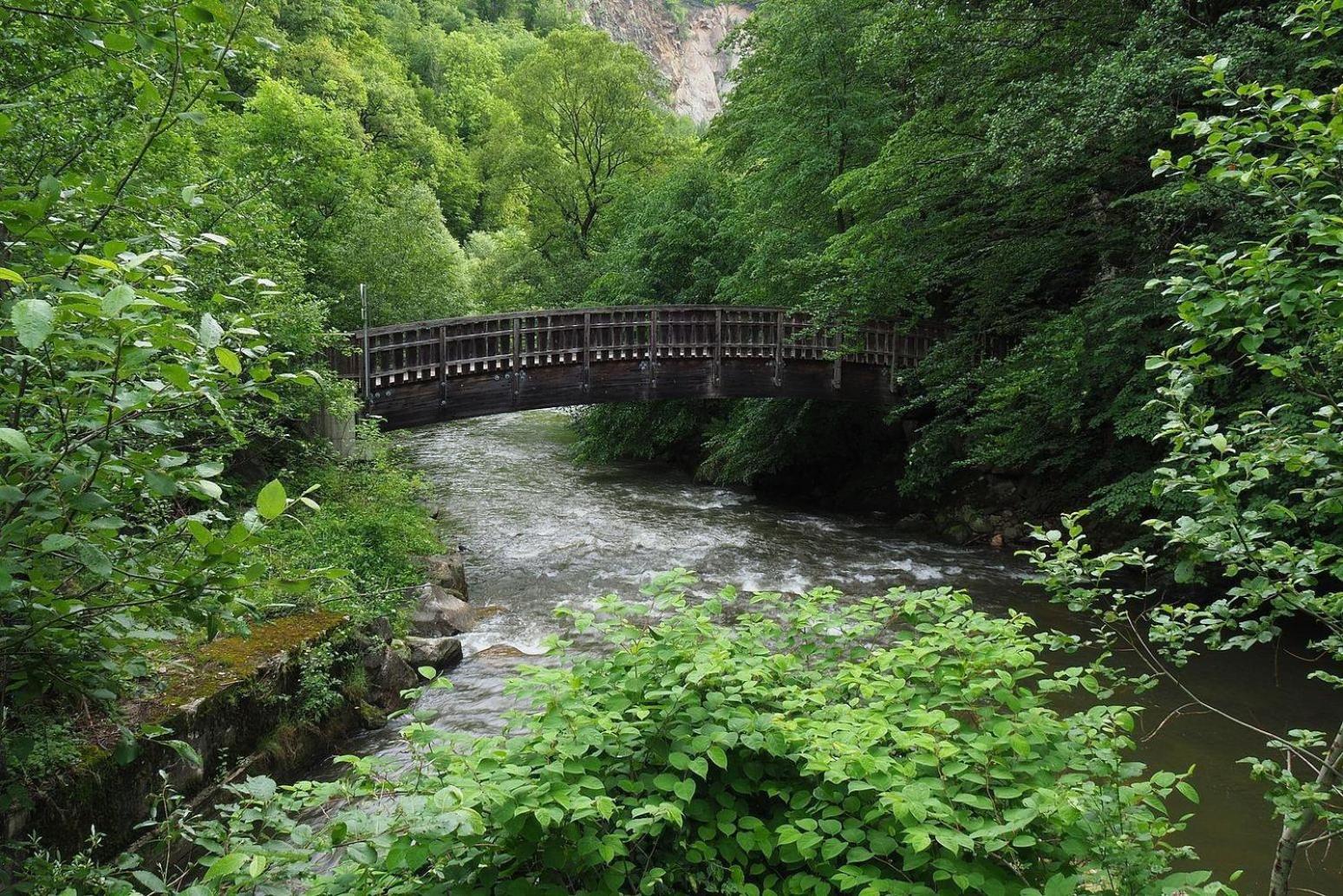 Biohof Laibacher