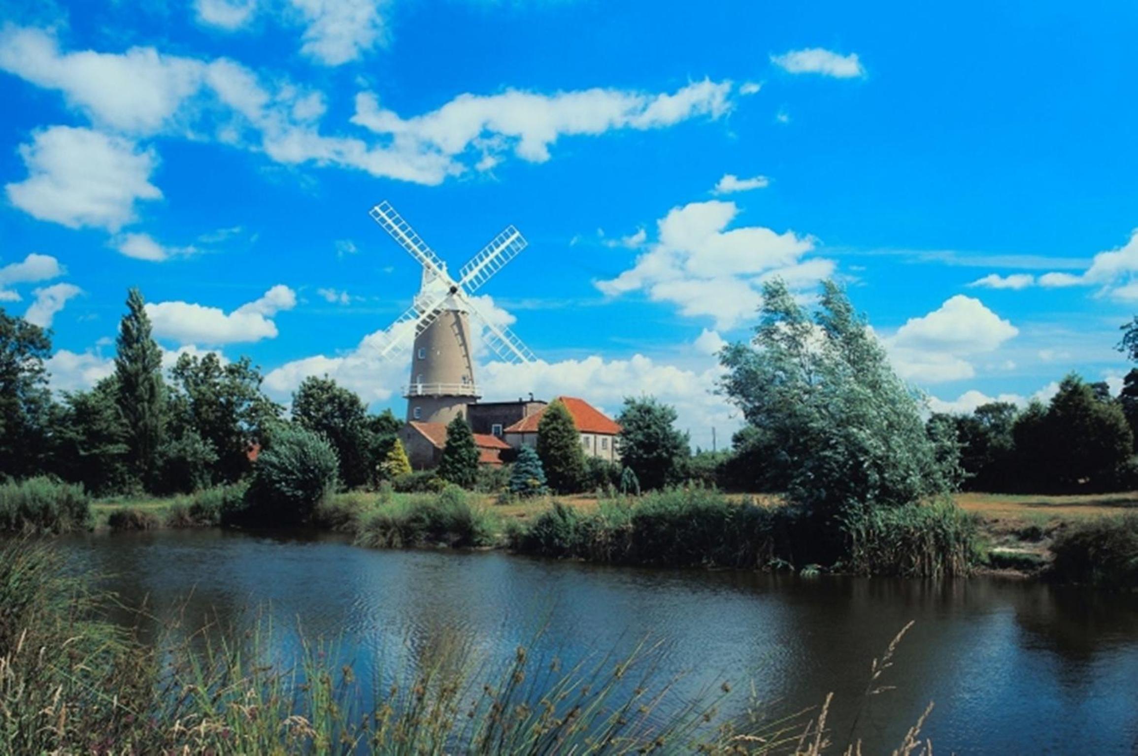 Photo 20