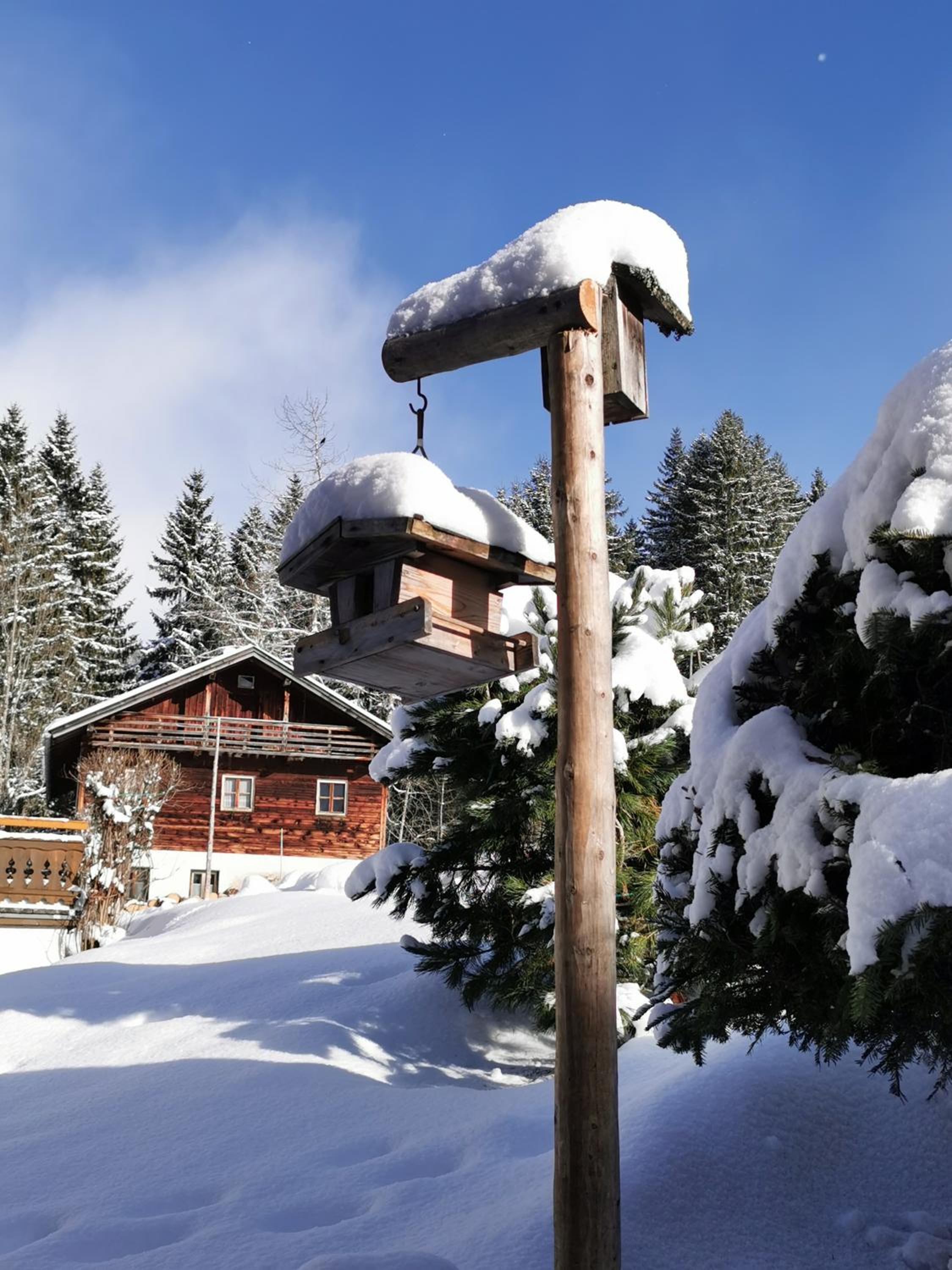 Haus Steinkarblick und Berghäusl