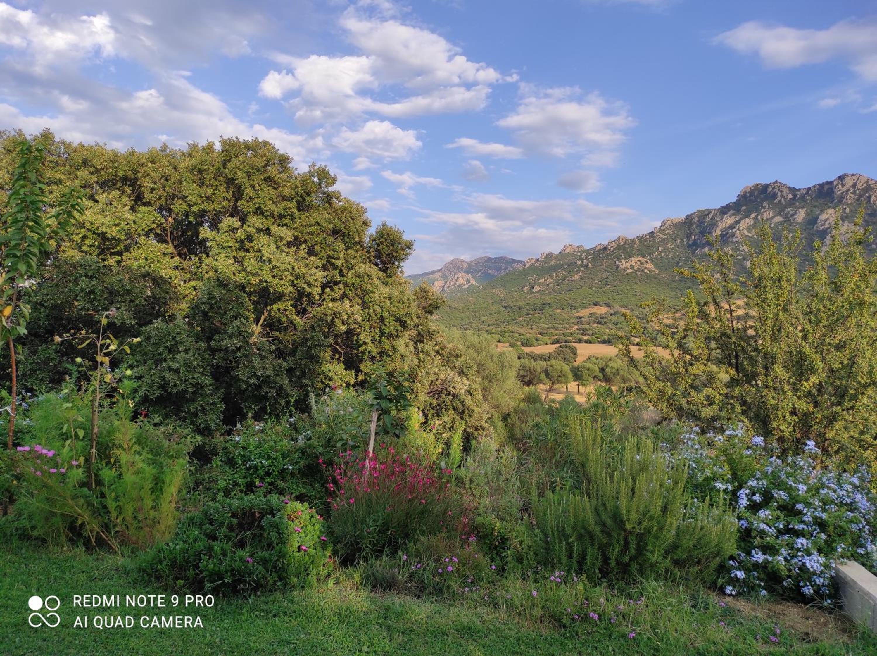 Agriturismo Asara