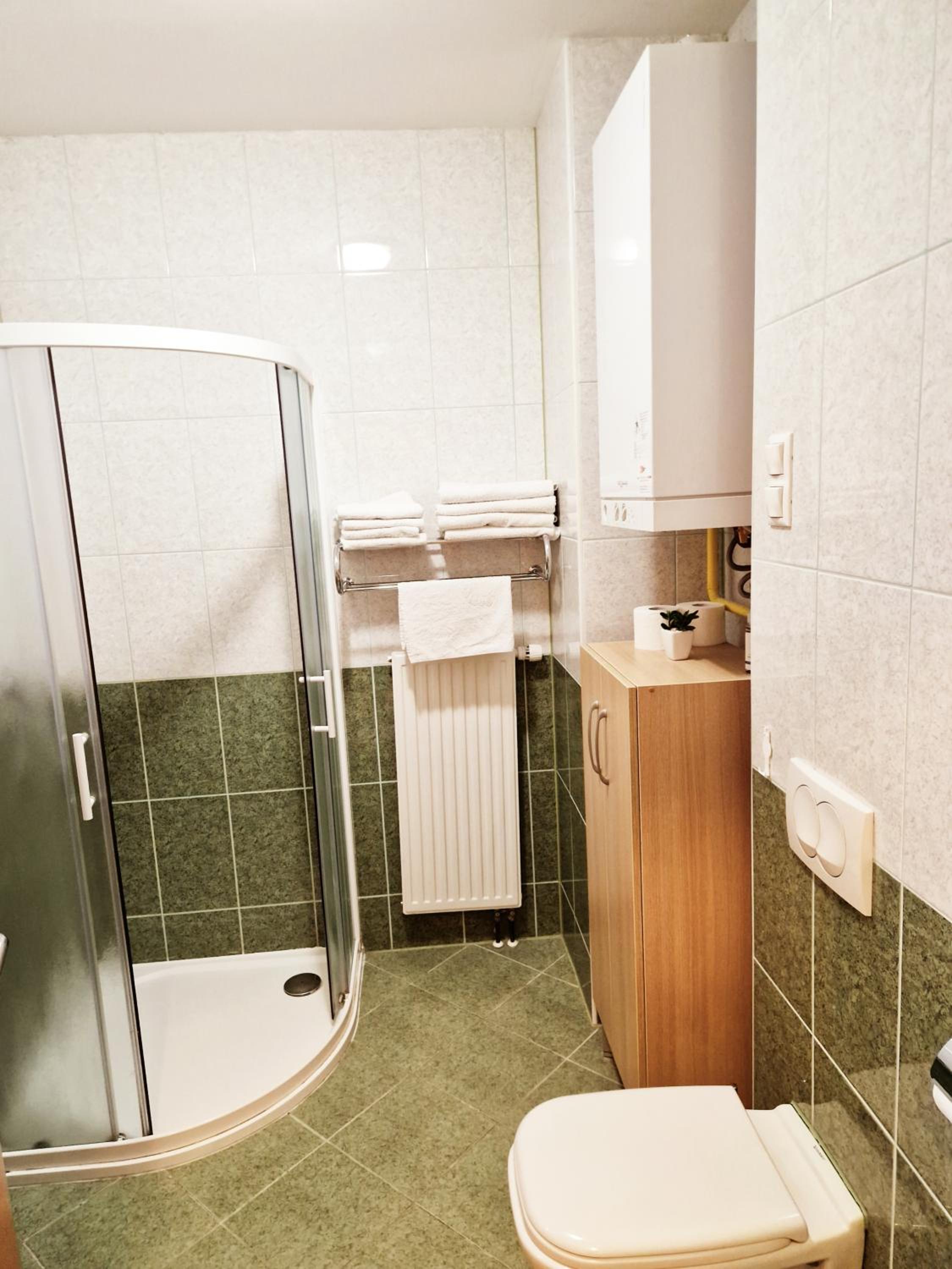 Apartments and Studios Perunika view 3