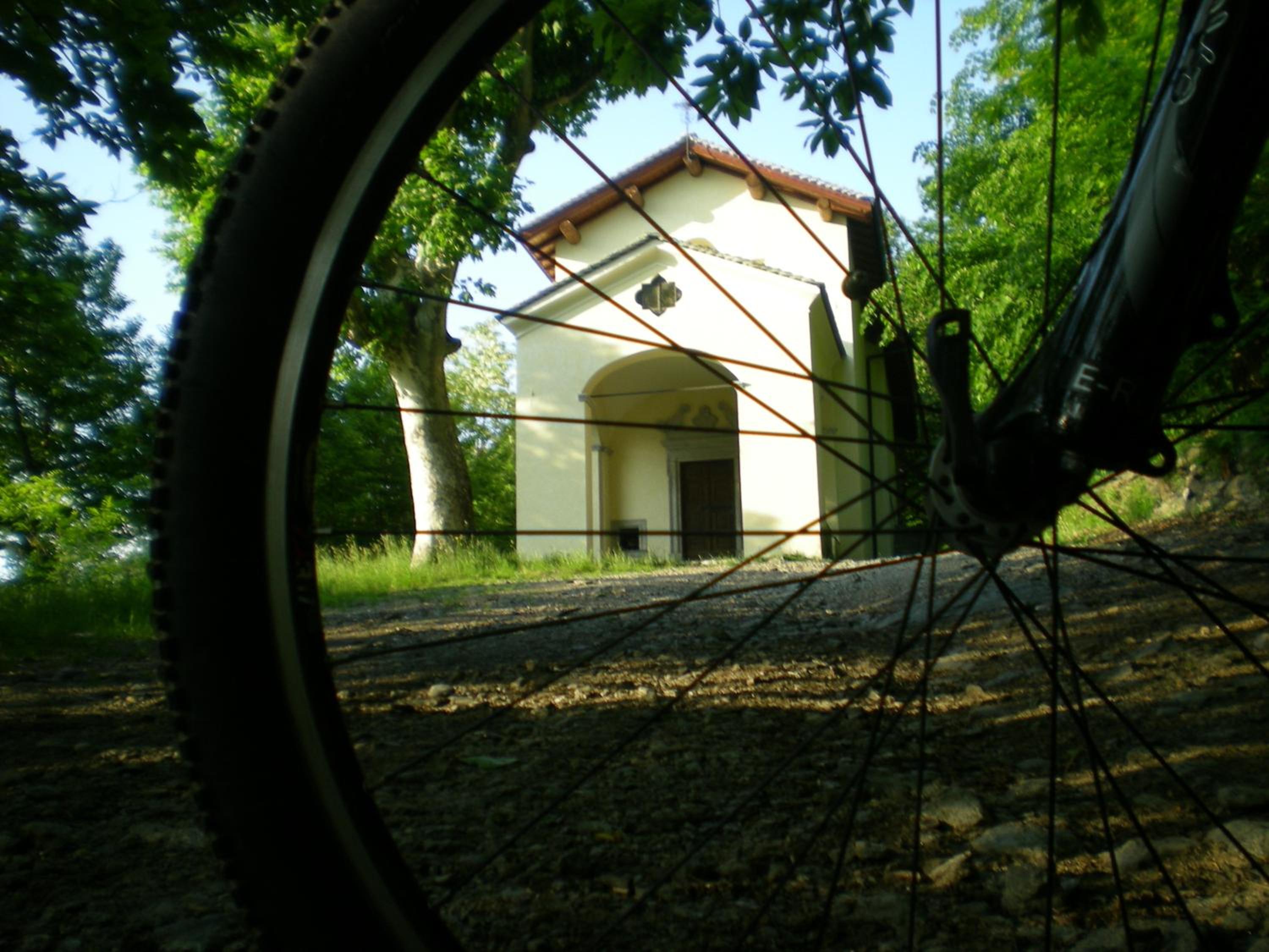 Photo 56