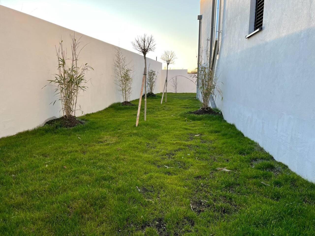 Photo 46