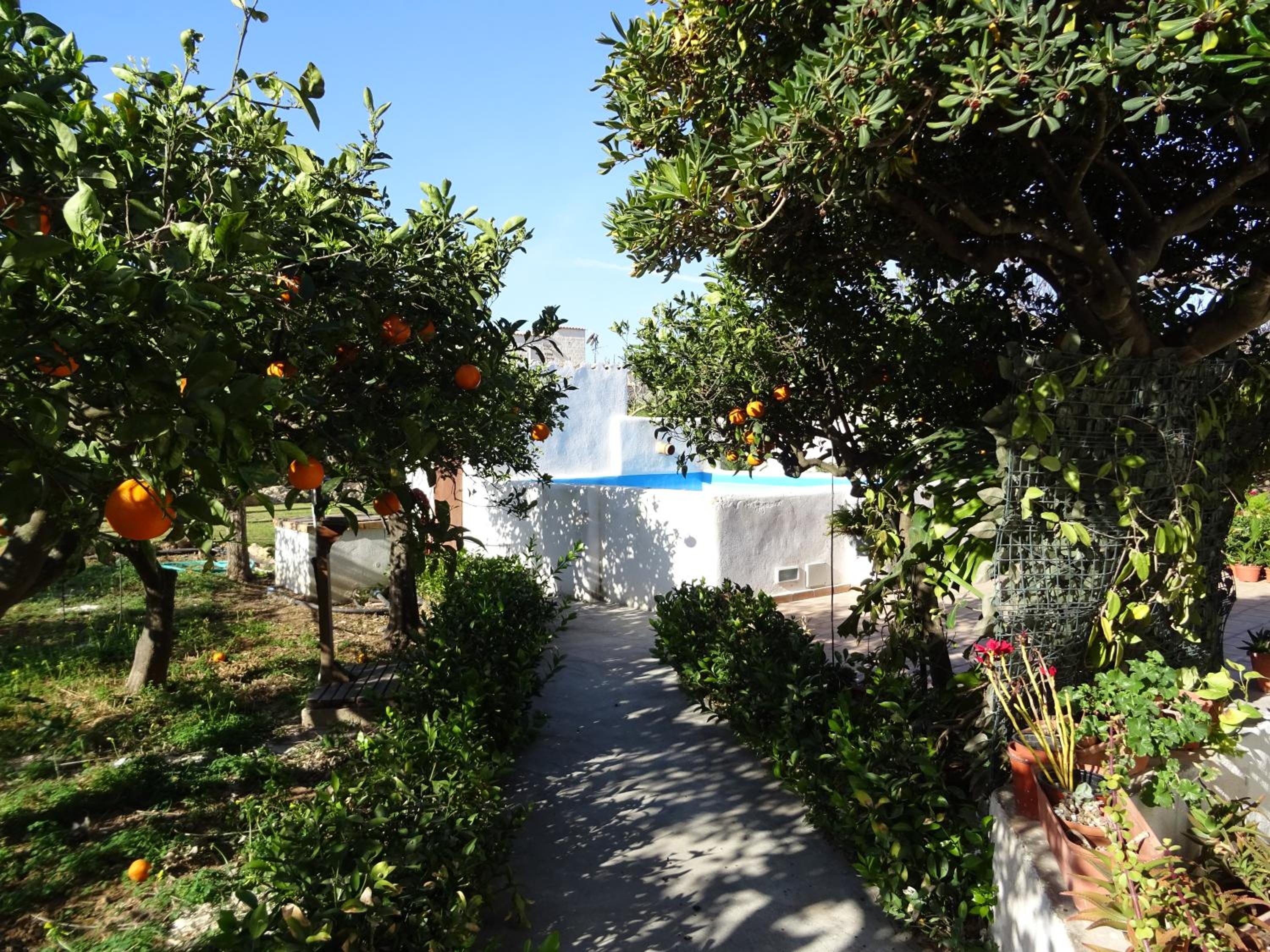 Lt "ANTICO CASALE" view 4