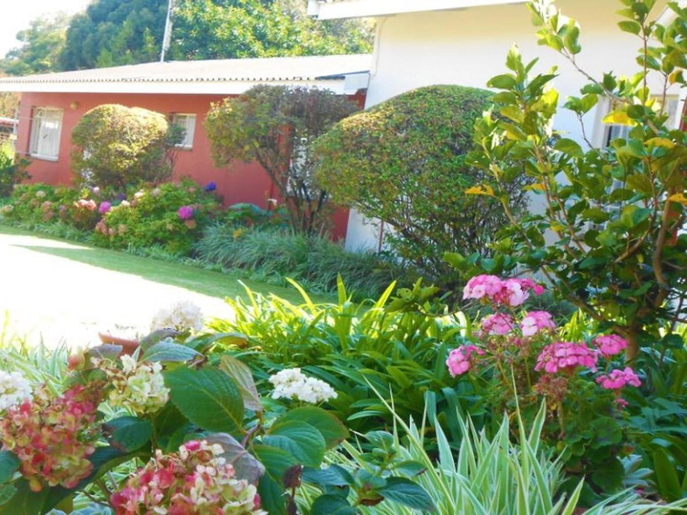 Villa Prince Imperial