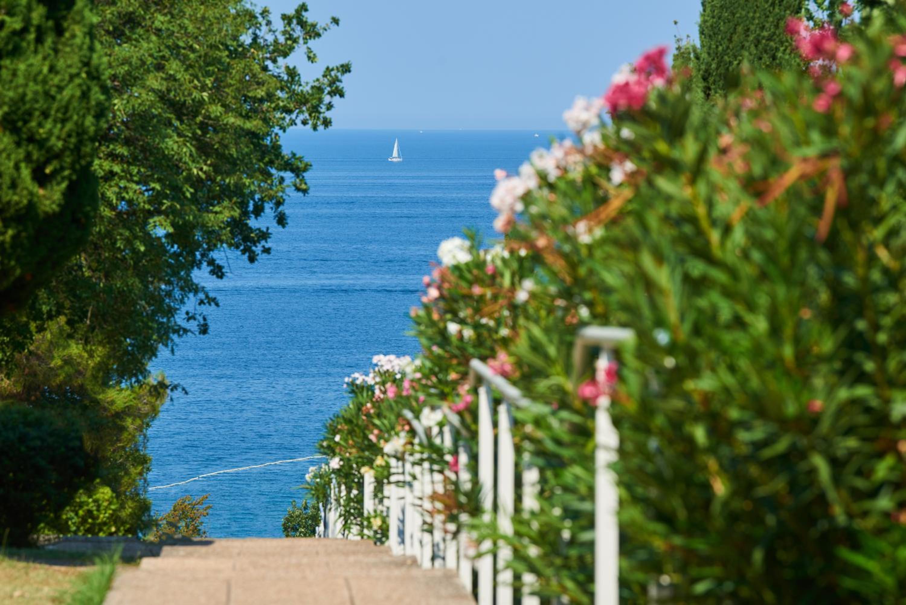 Apartments Bellevue Plava Laguna - Property Image 25