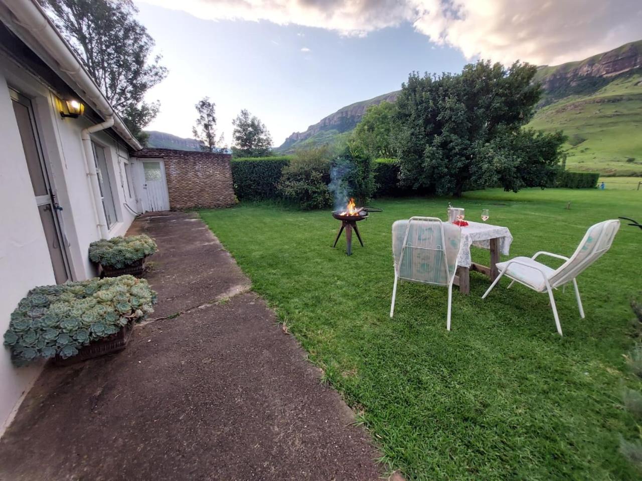 Photo 20