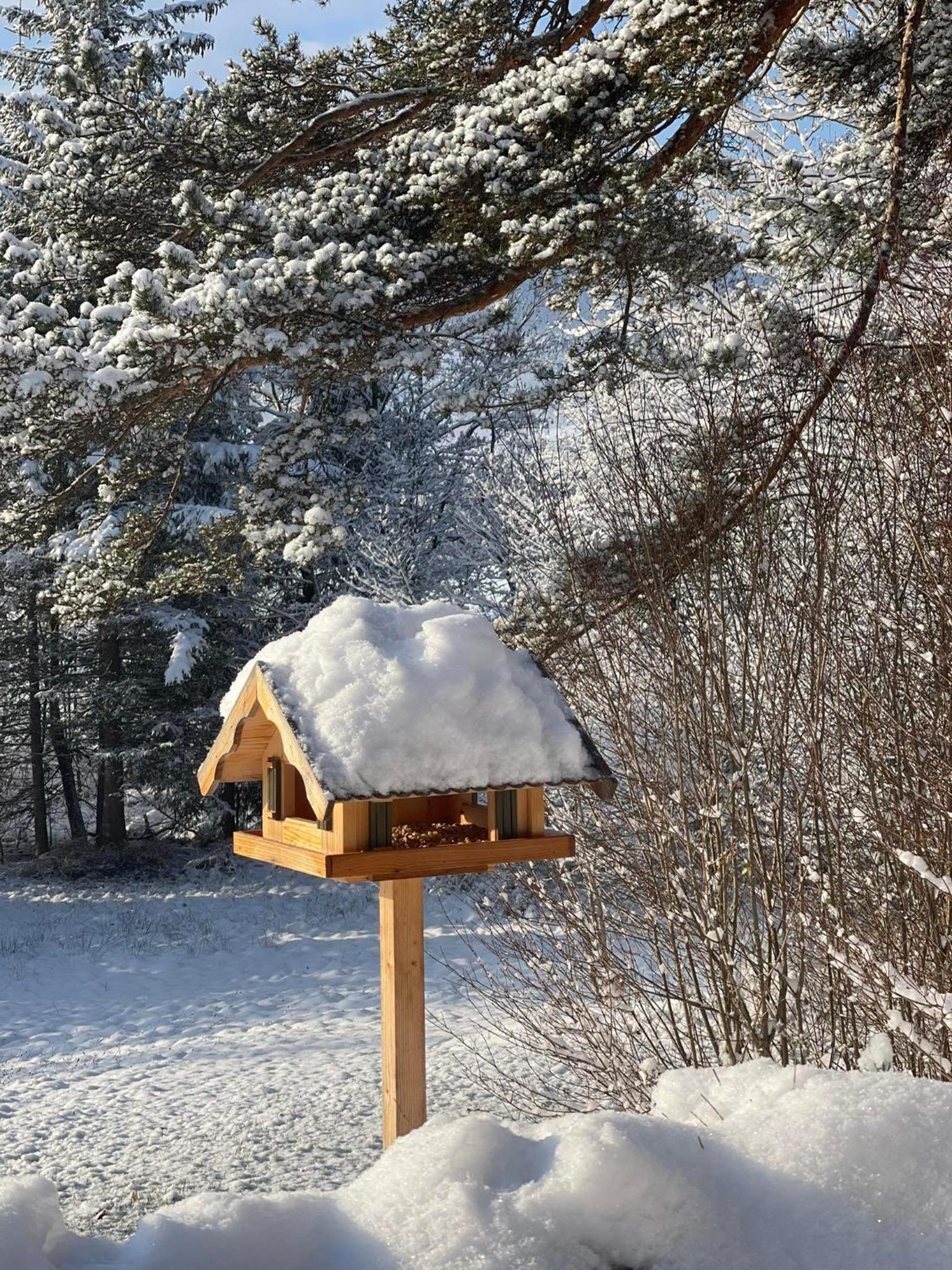 Häusle in der Tannenmühle