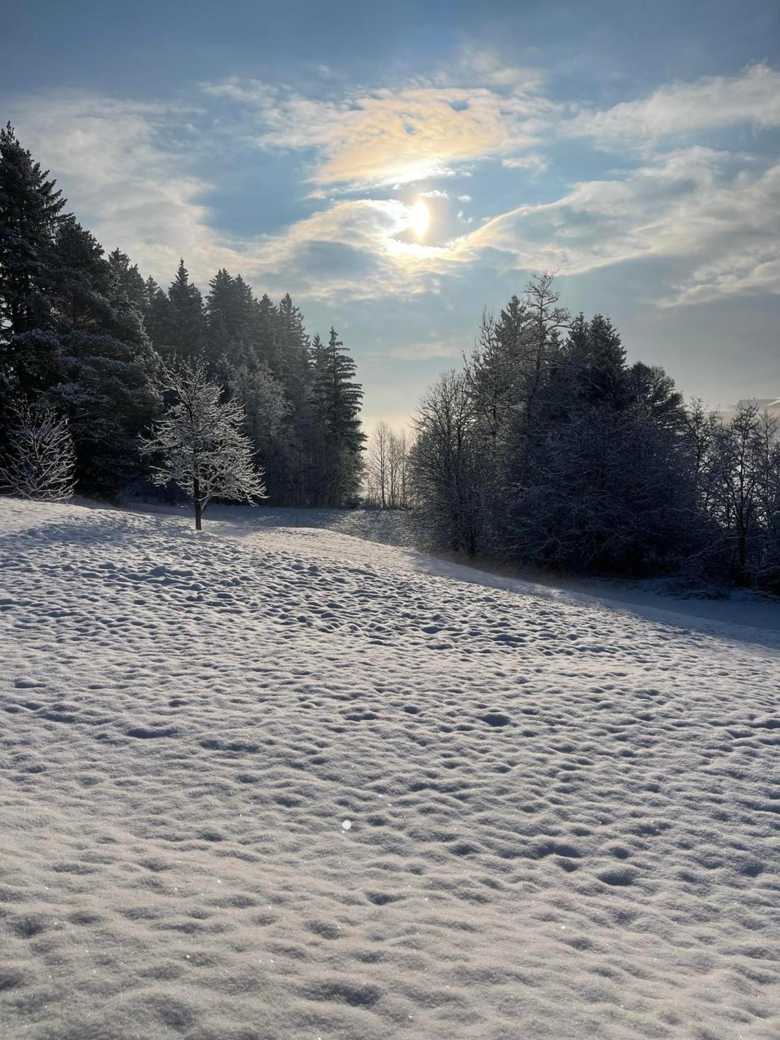 Häusle in der Tannenmühle