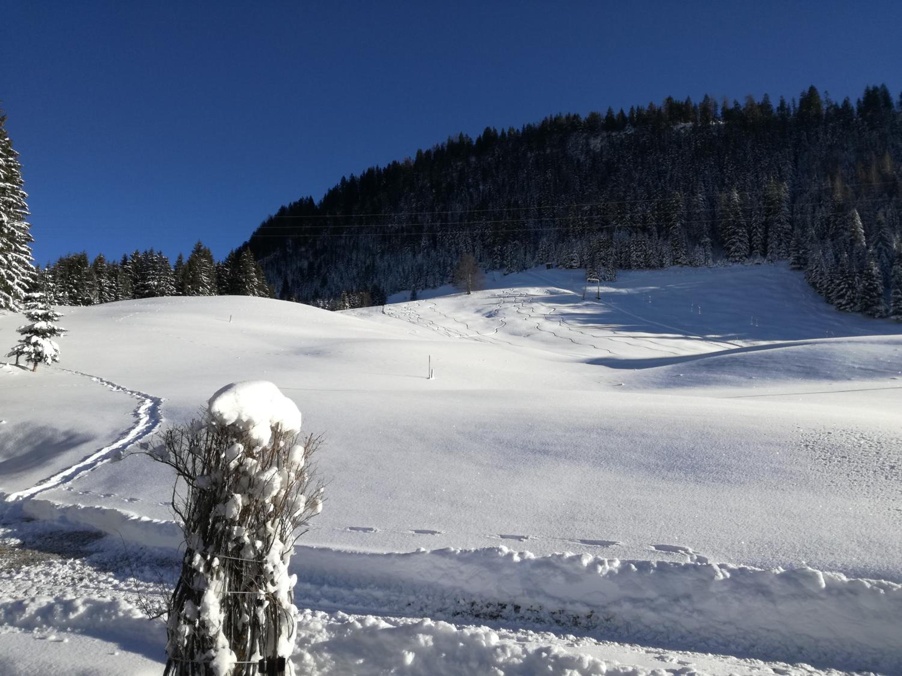 Haus Steinkarblick und Berghäusl