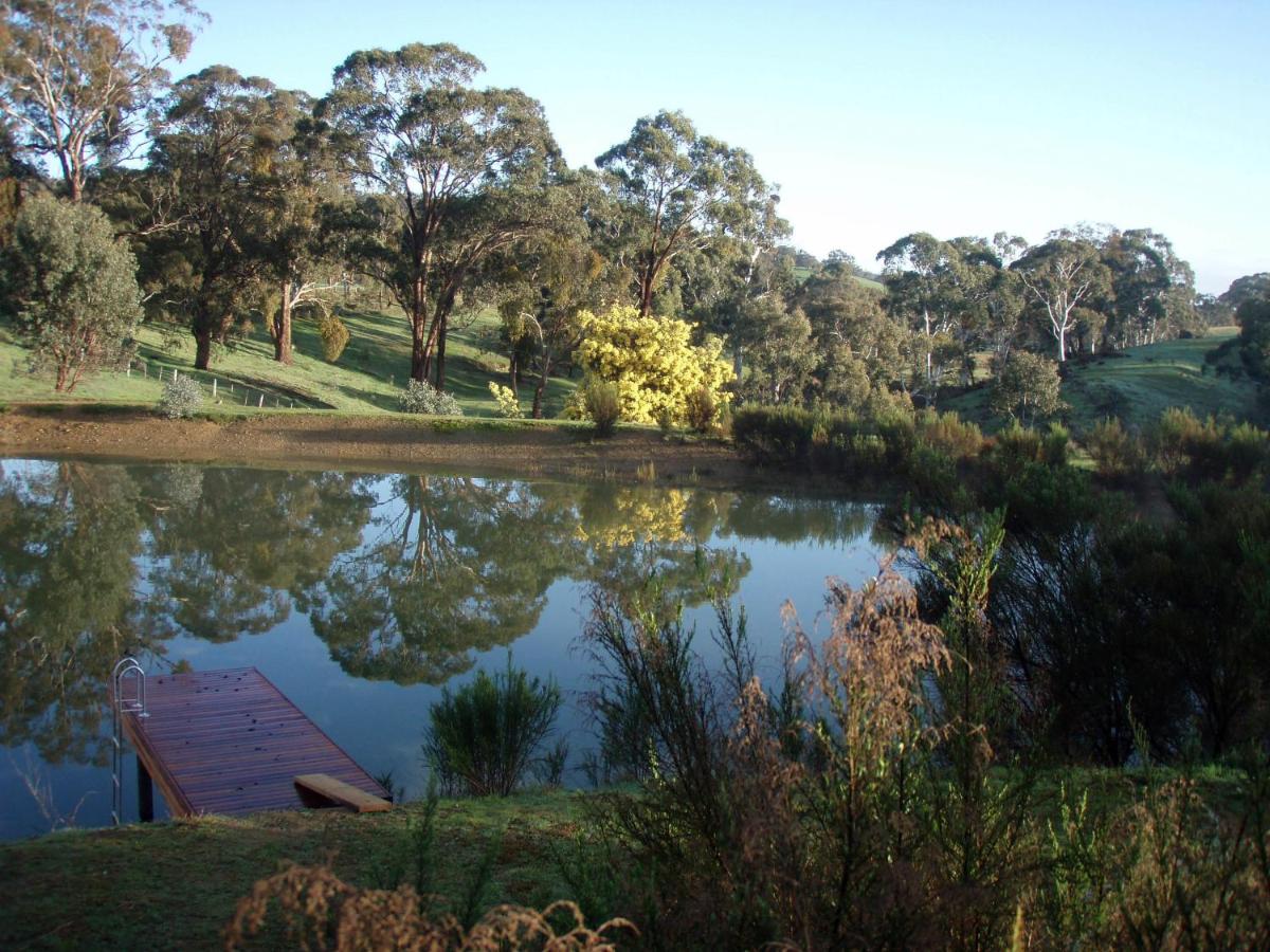 Lavandula Country House