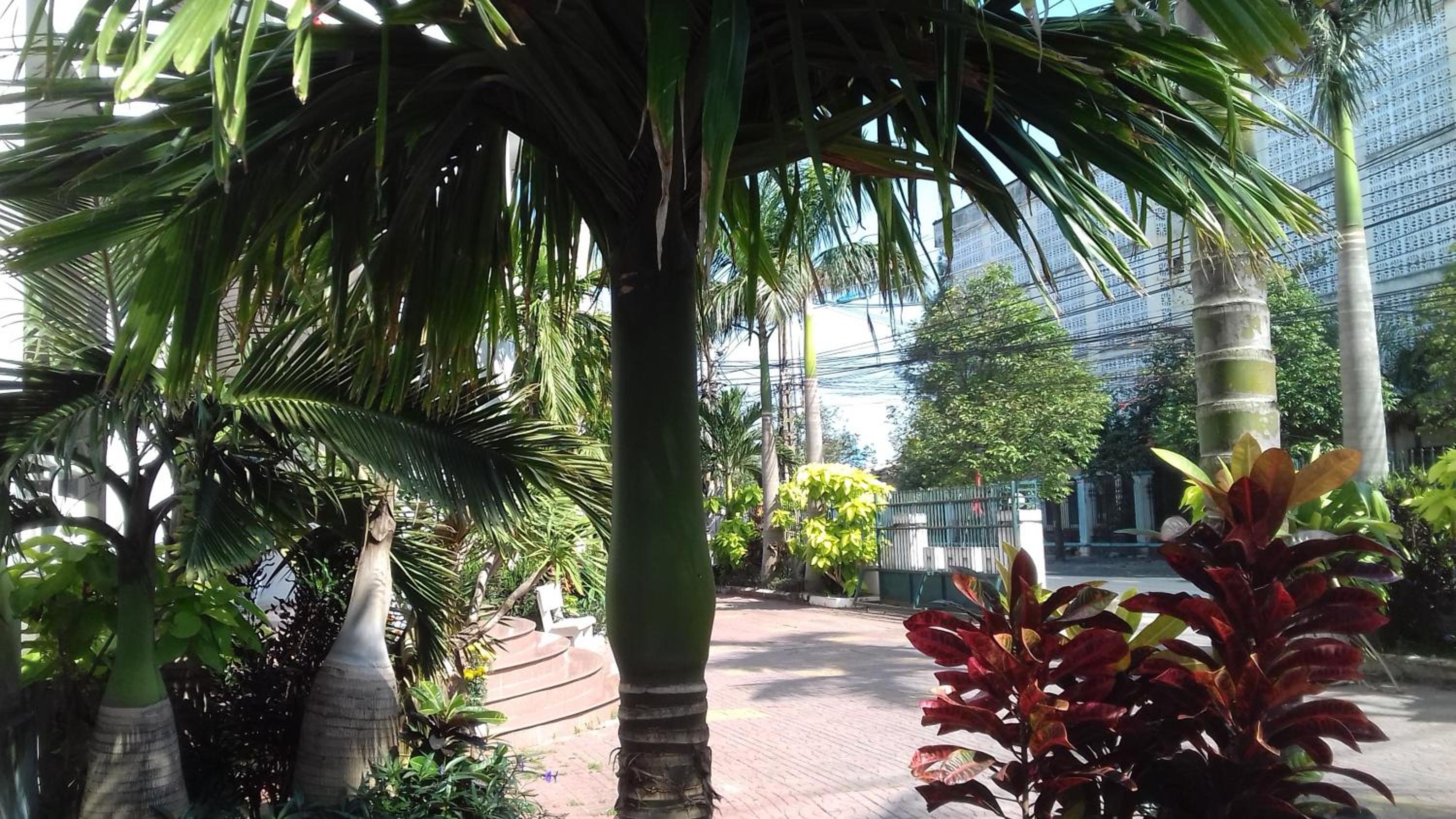 Tic Guest House, Liên Trì (3) - 13