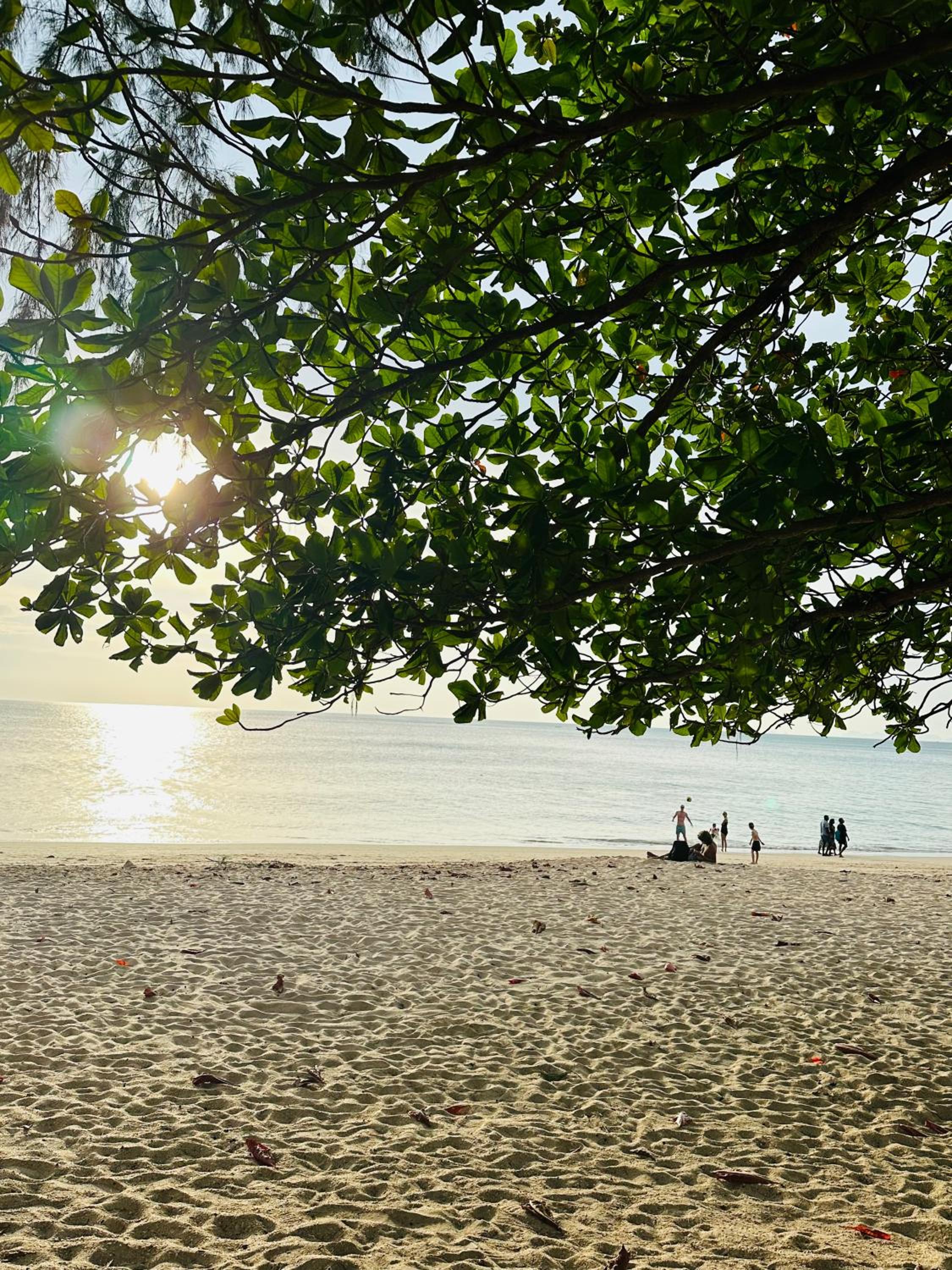 Lanta L.D. Beach Bungalow