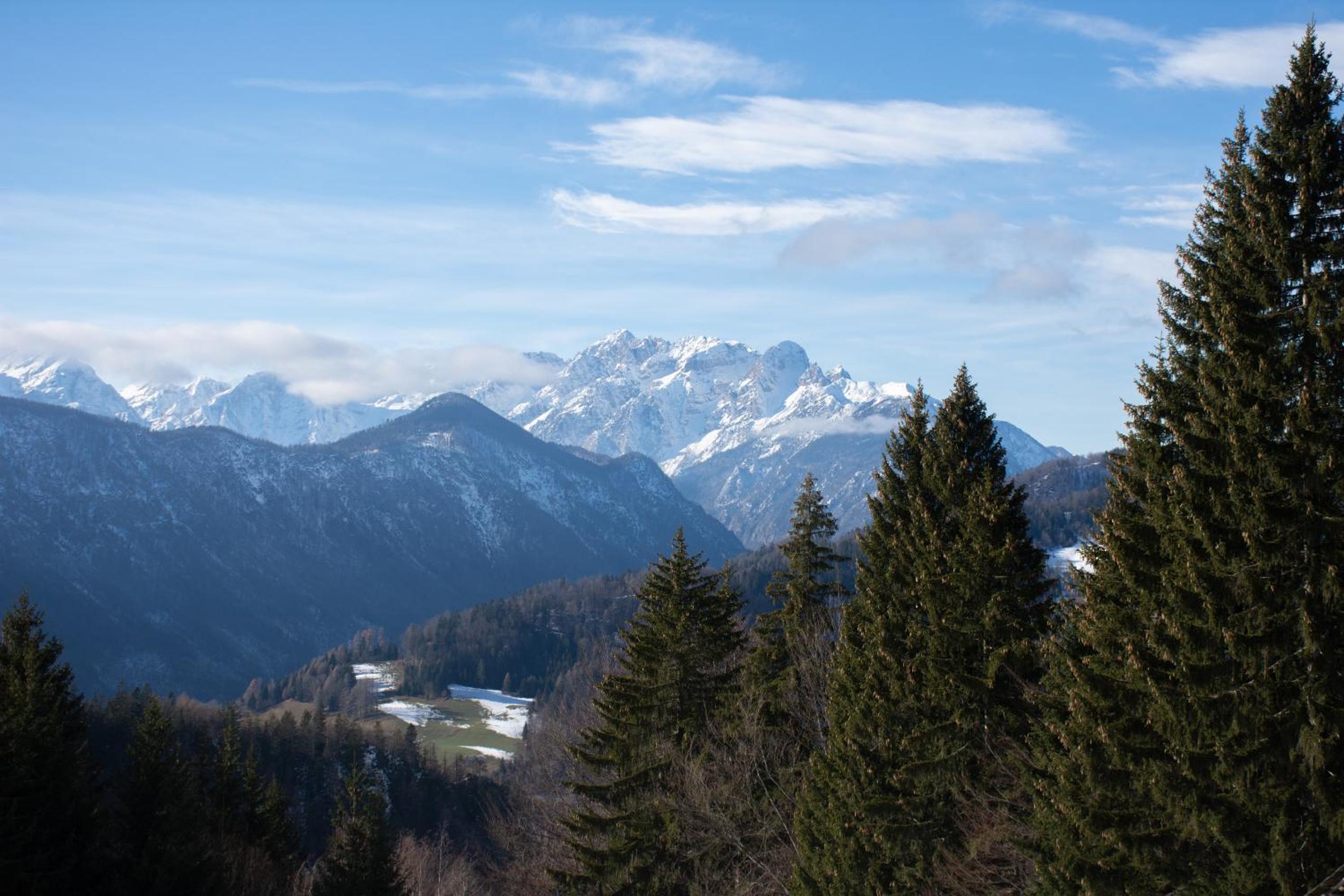 Alpine Cottage Golica