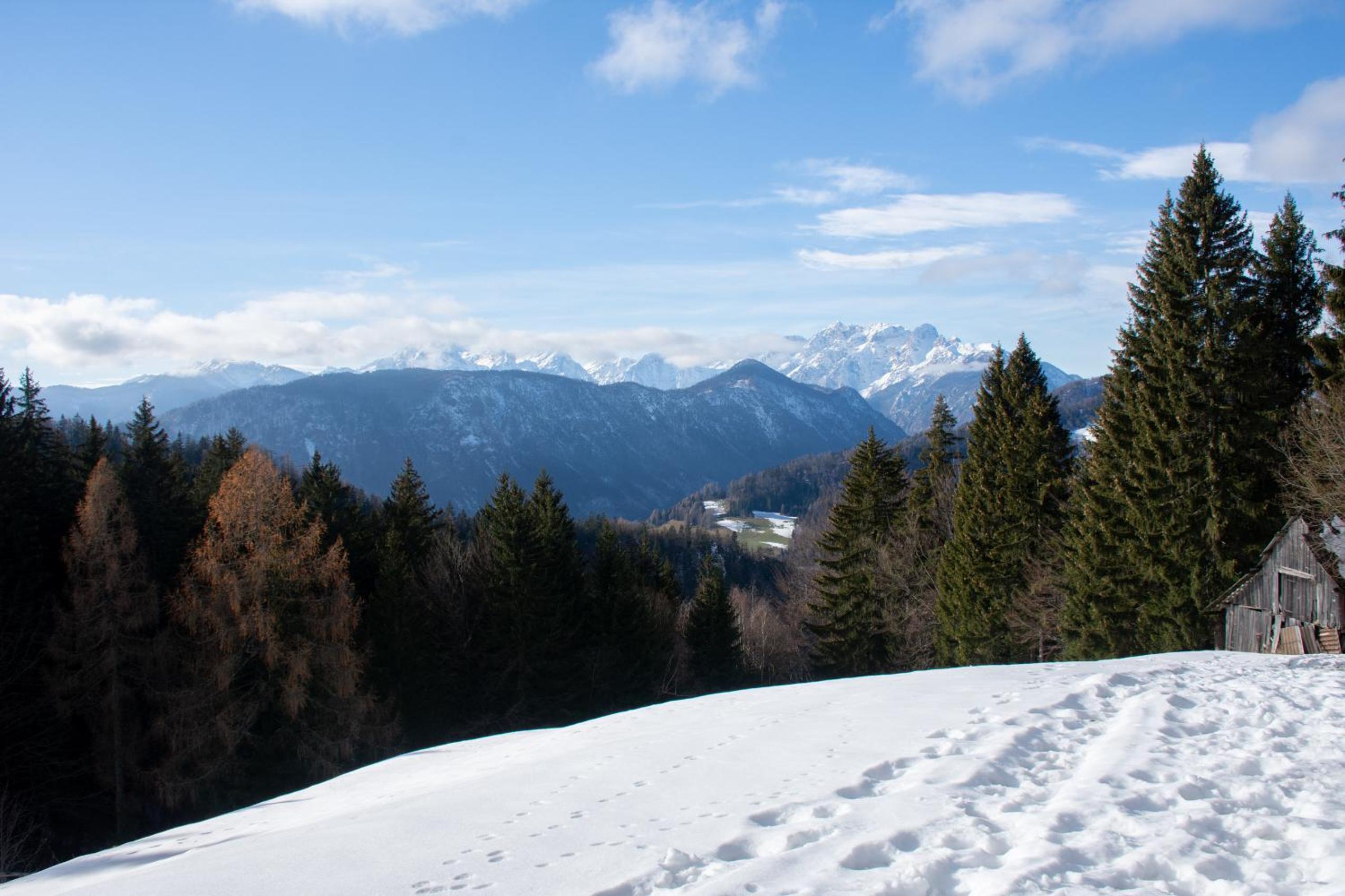 Alpine Cottage Golica