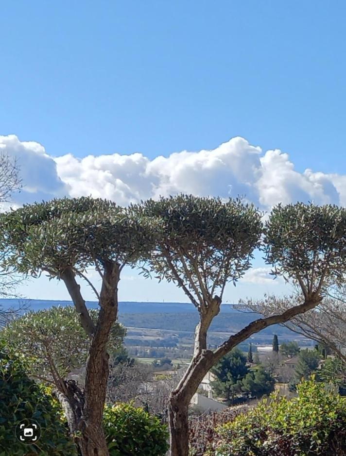 Le jardin de Sabine, photo 42