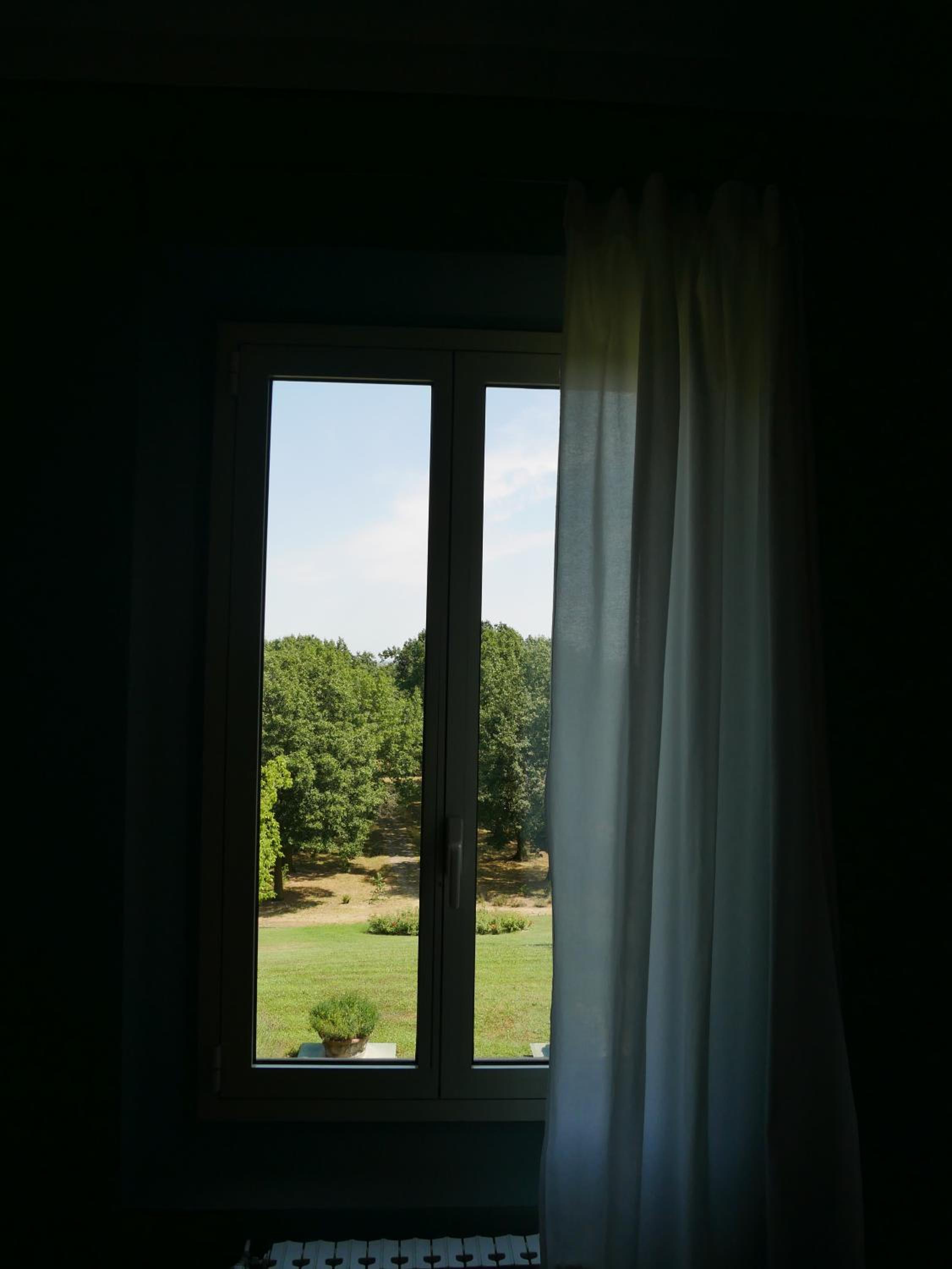 Photo 51