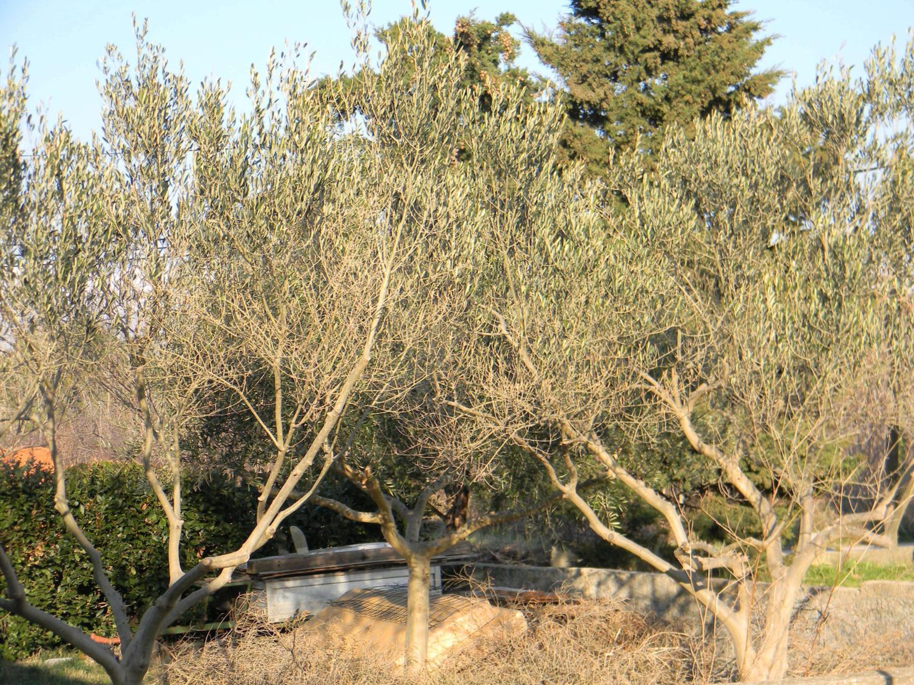 Photo 13