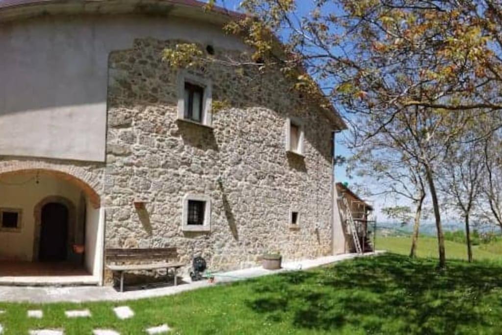 Photo 10