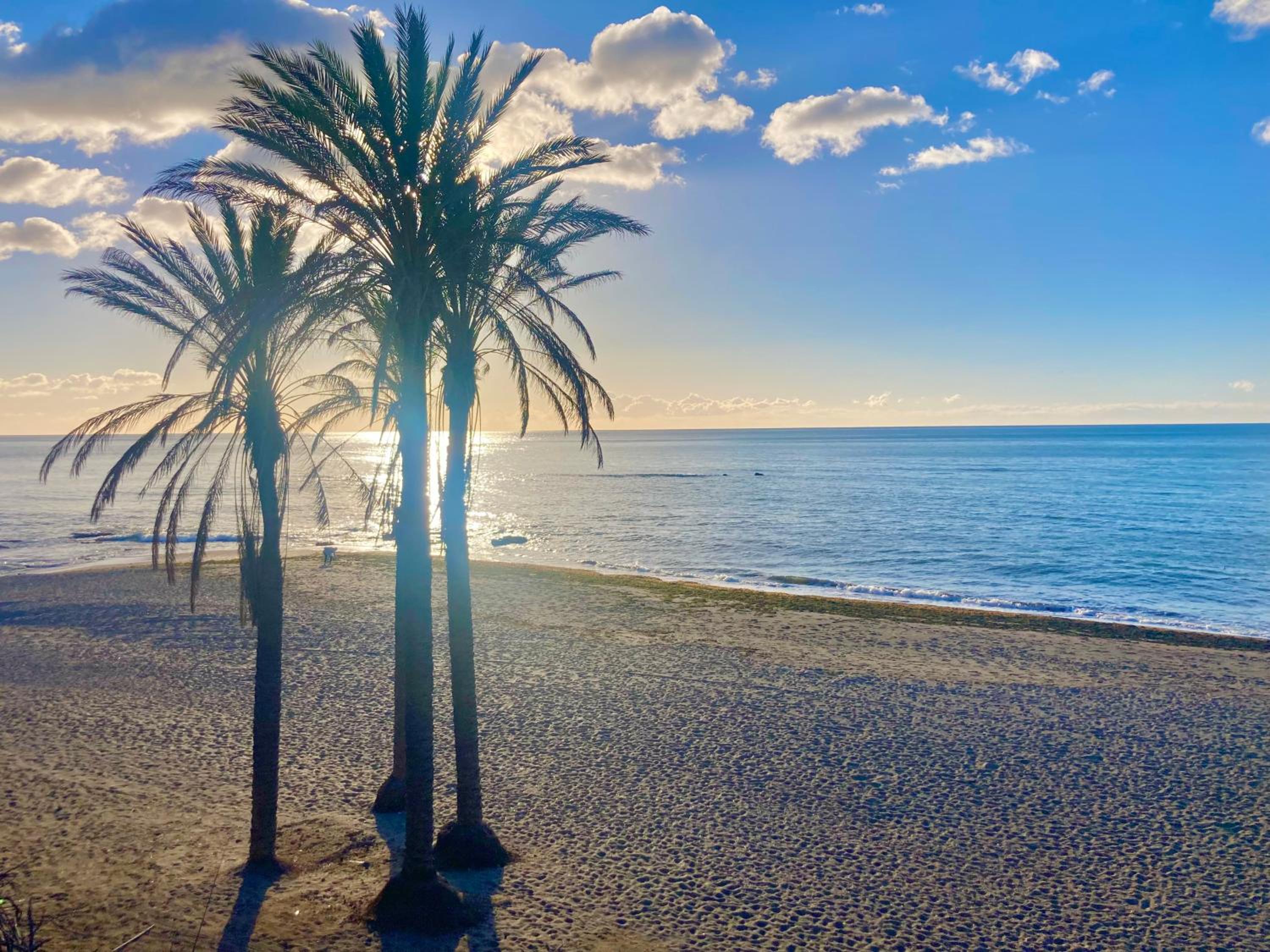 SOLANA Benalmadena Los Patos