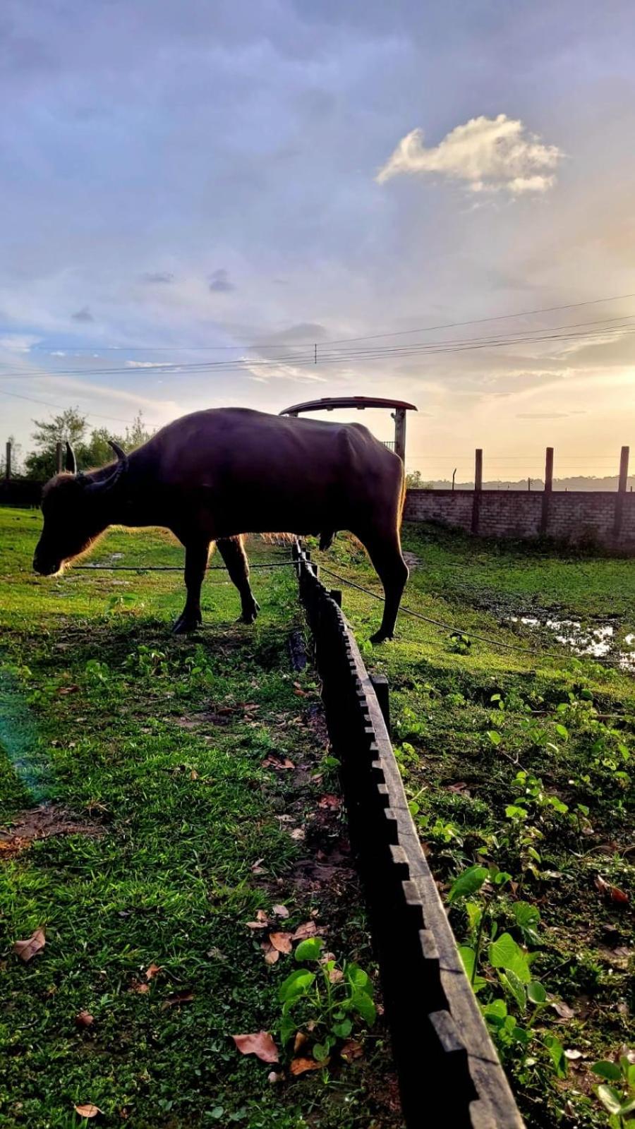Pousada Marajoara- Hotel Fazenda-Turismo de Aventura