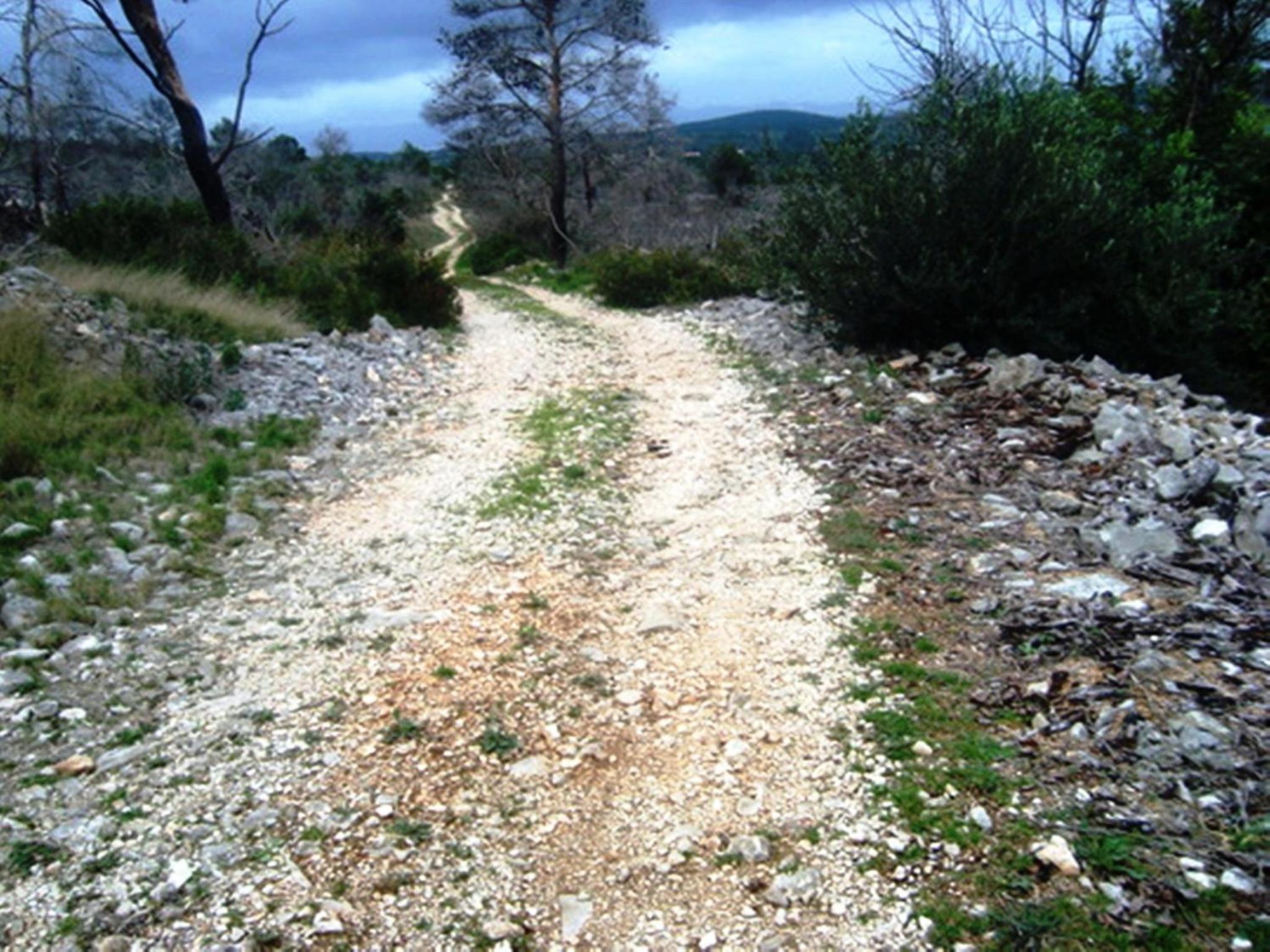 Photo 42