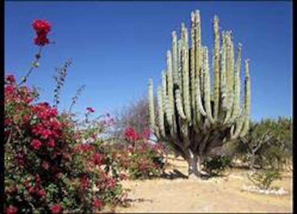 Photo 25