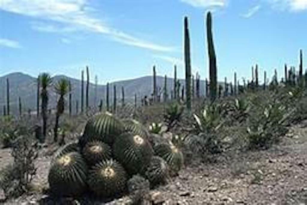 Photo 47